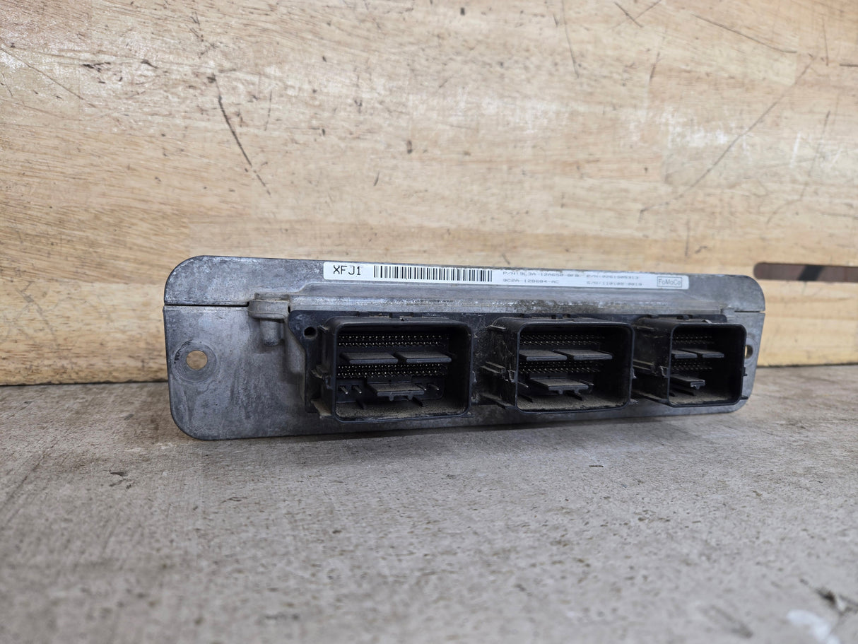 2009 Ford F150 4.6L PCM XFJ1 / 9L3A-12A650-BFB