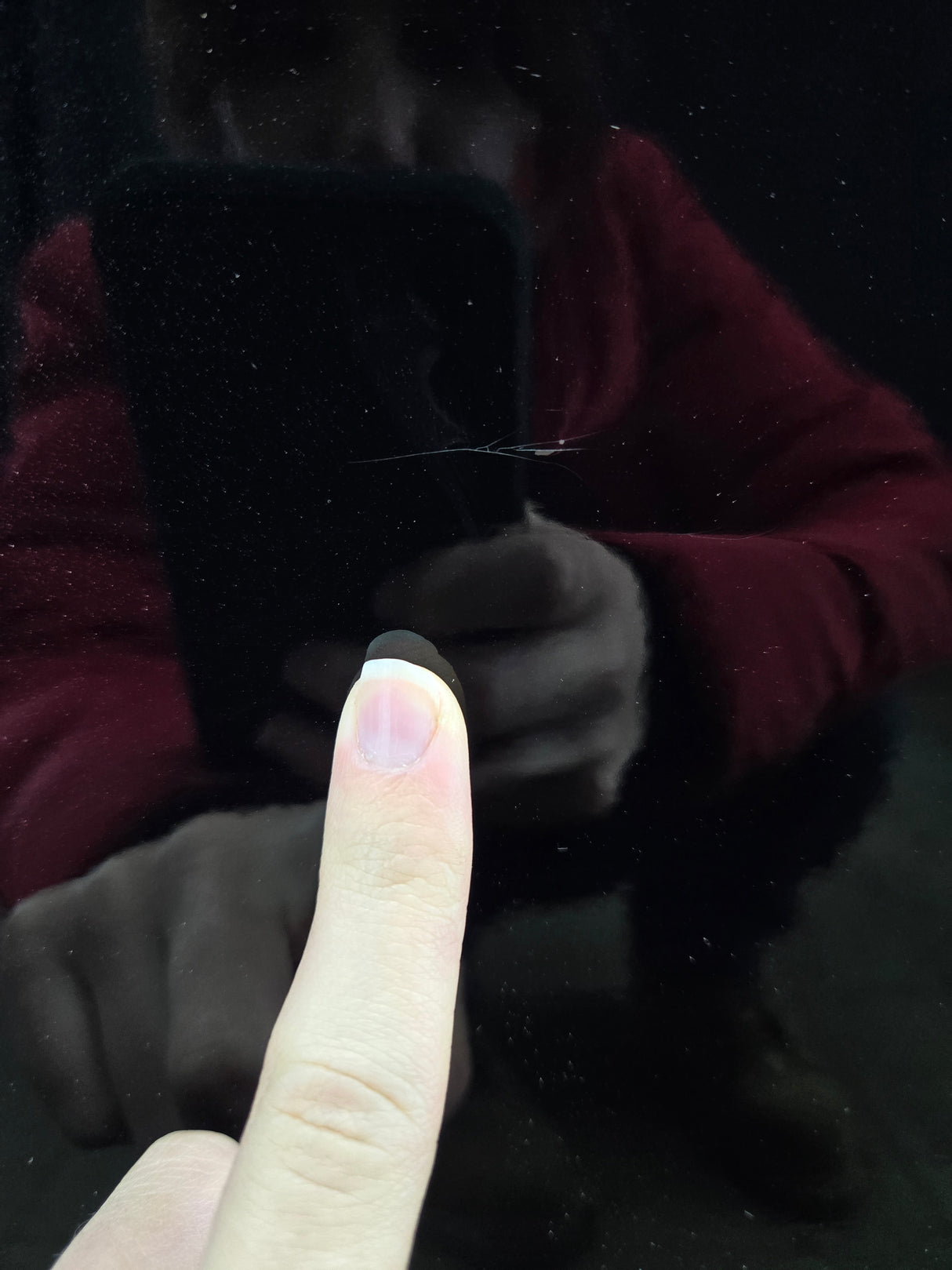 2015-2022 Ford F150 / Super Duty Passenger Front Door RH F250 F350 F450 F550