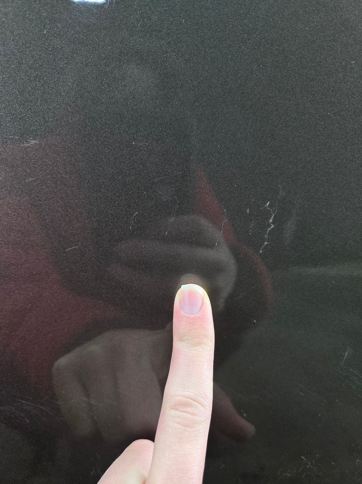 2015-2022 Ford F150 / Super Duty Driver Rear Door LH F250 F350 F450 F550