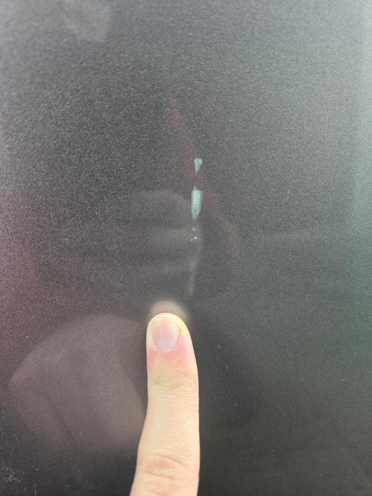 2015-2022 Ford F150 / Super Duty Driver Rear Door LH F250 F350 F450 F550