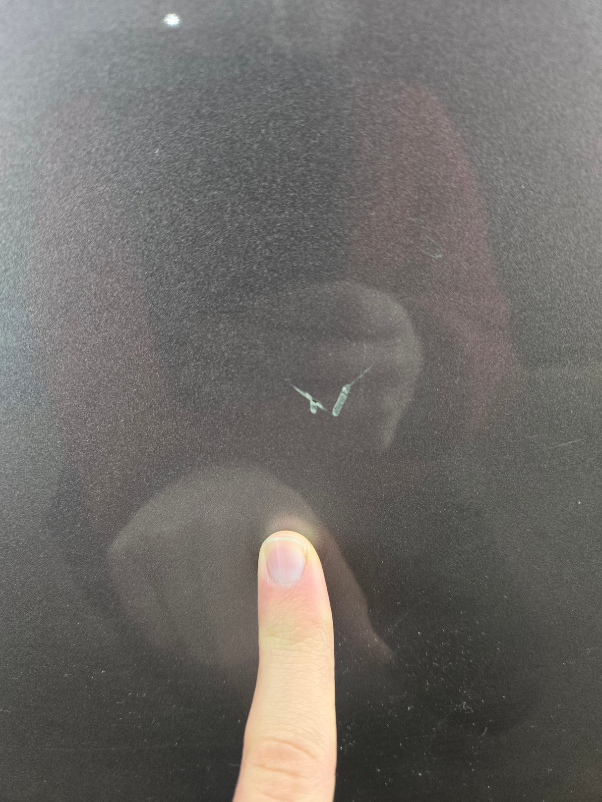 2015-2022 Ford F150 / Super Duty Driver Rear Door LH F250 F350 F450 F550