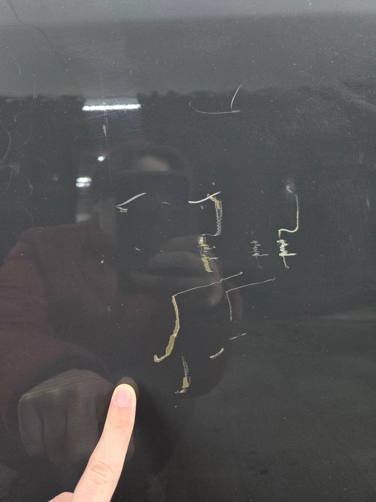 2015-2022 Ford F150 / Super Duty Driver Rear Door LH F250 F350 F450 F550