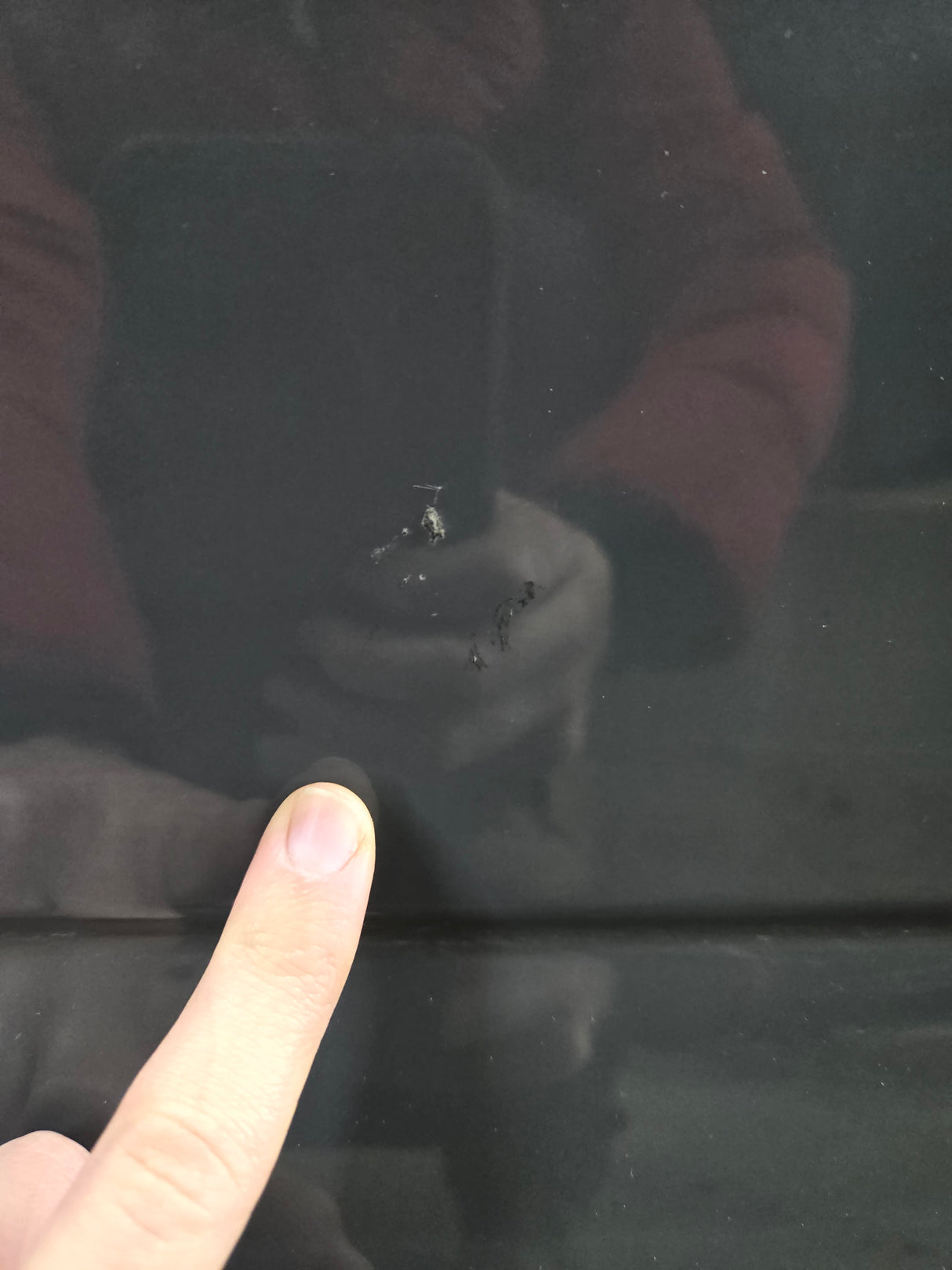 2015-2022 Ford F150 / Super Duty Driver Rear Door LH F250 F350 F450 F550