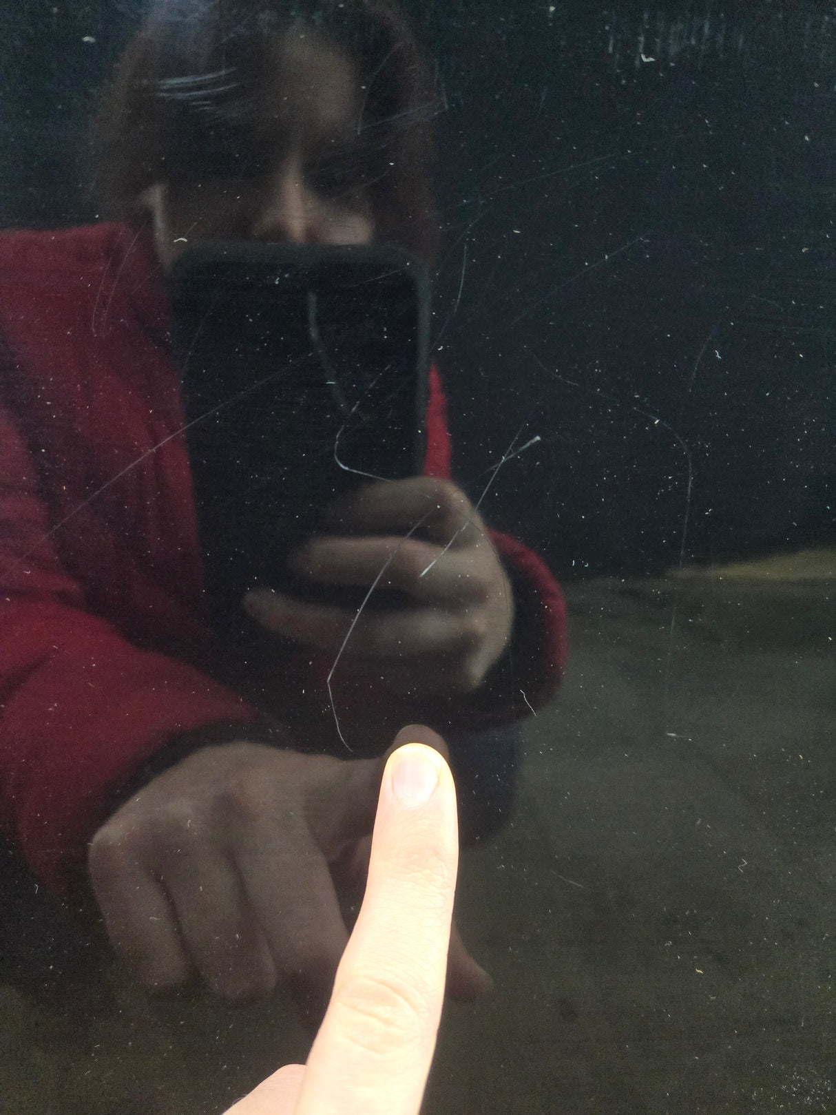 2015-2022 Ford F150 / Super Duty Driver Rear Door LH F250 F350 F450 F550