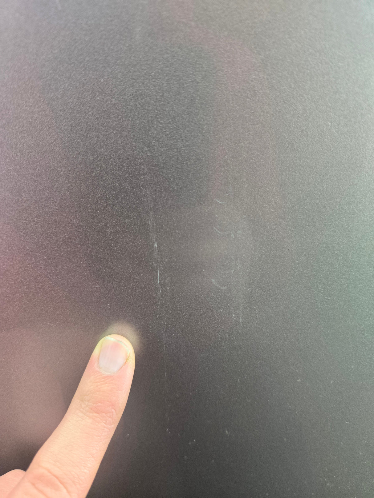 2015-2022 Ford F150 / Super Duty Passenger Rear Door RH F250 F350 F450 F550