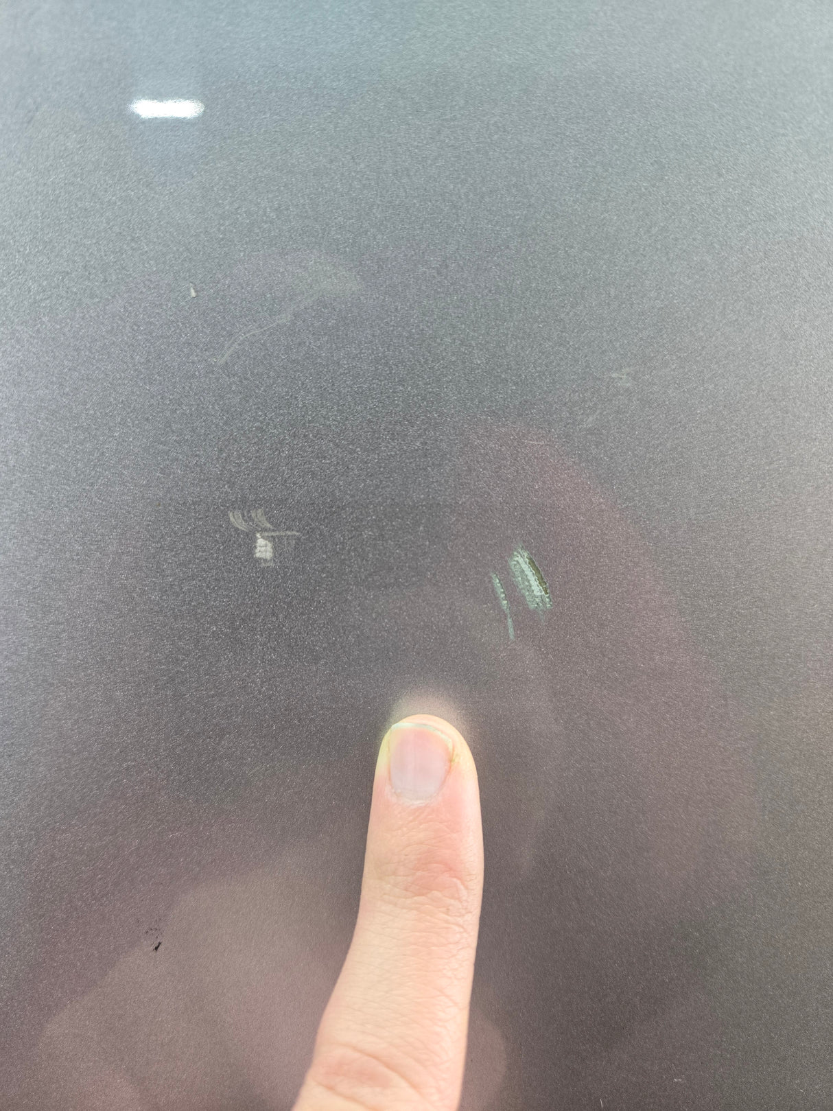 2015-2022 Ford F150 / Super Duty Passenger Rear Door RH F250 F350 F450 F550