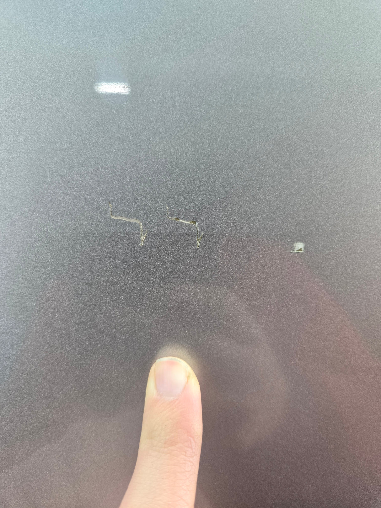 2015-2022 Ford F150 / Super Duty Passenger Rear Door RH F250 F350 F450 F550