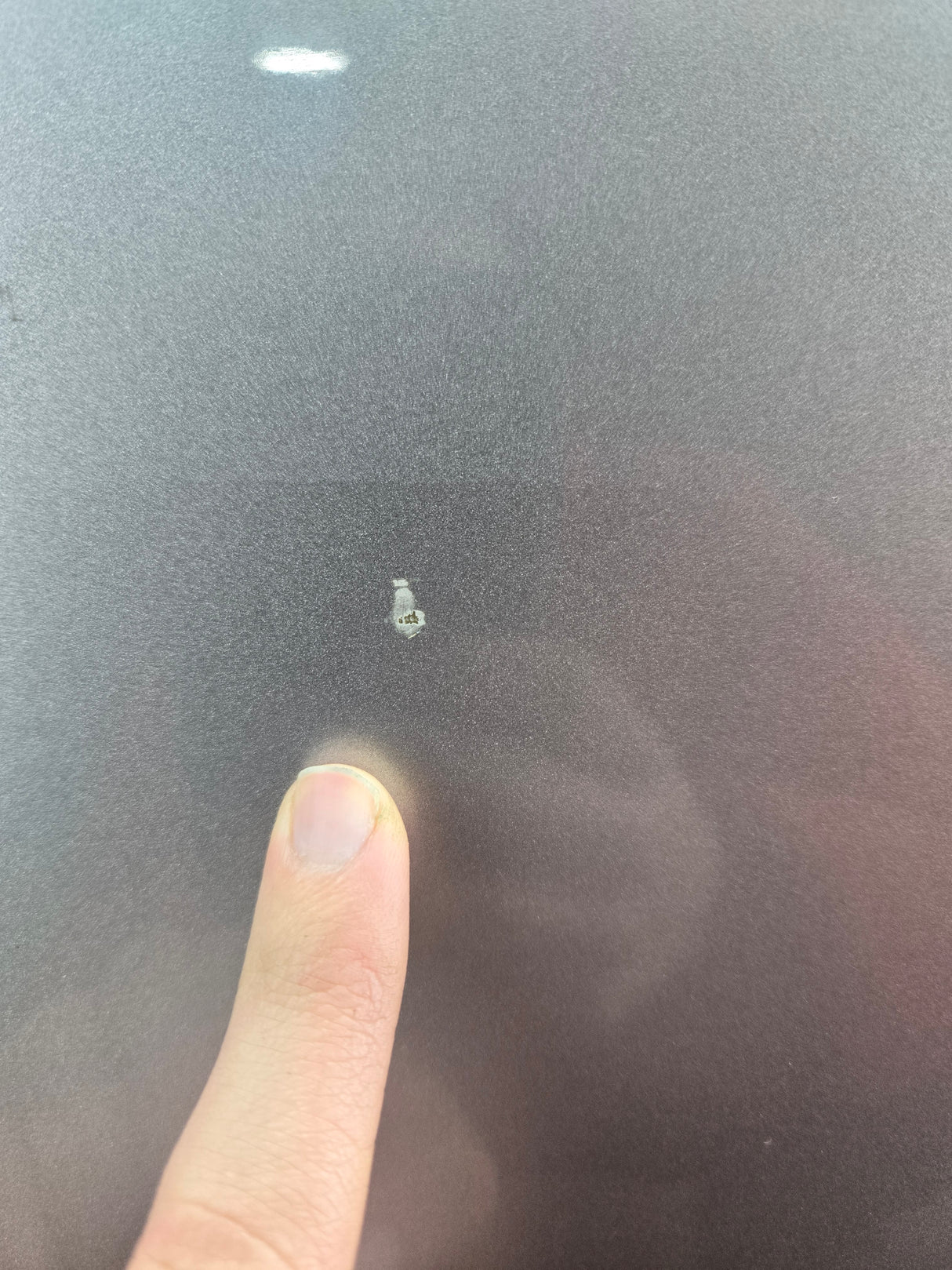 2015-2022 Ford F150 / Super Duty Passenger Rear Door RH F250 F350 F450 F550