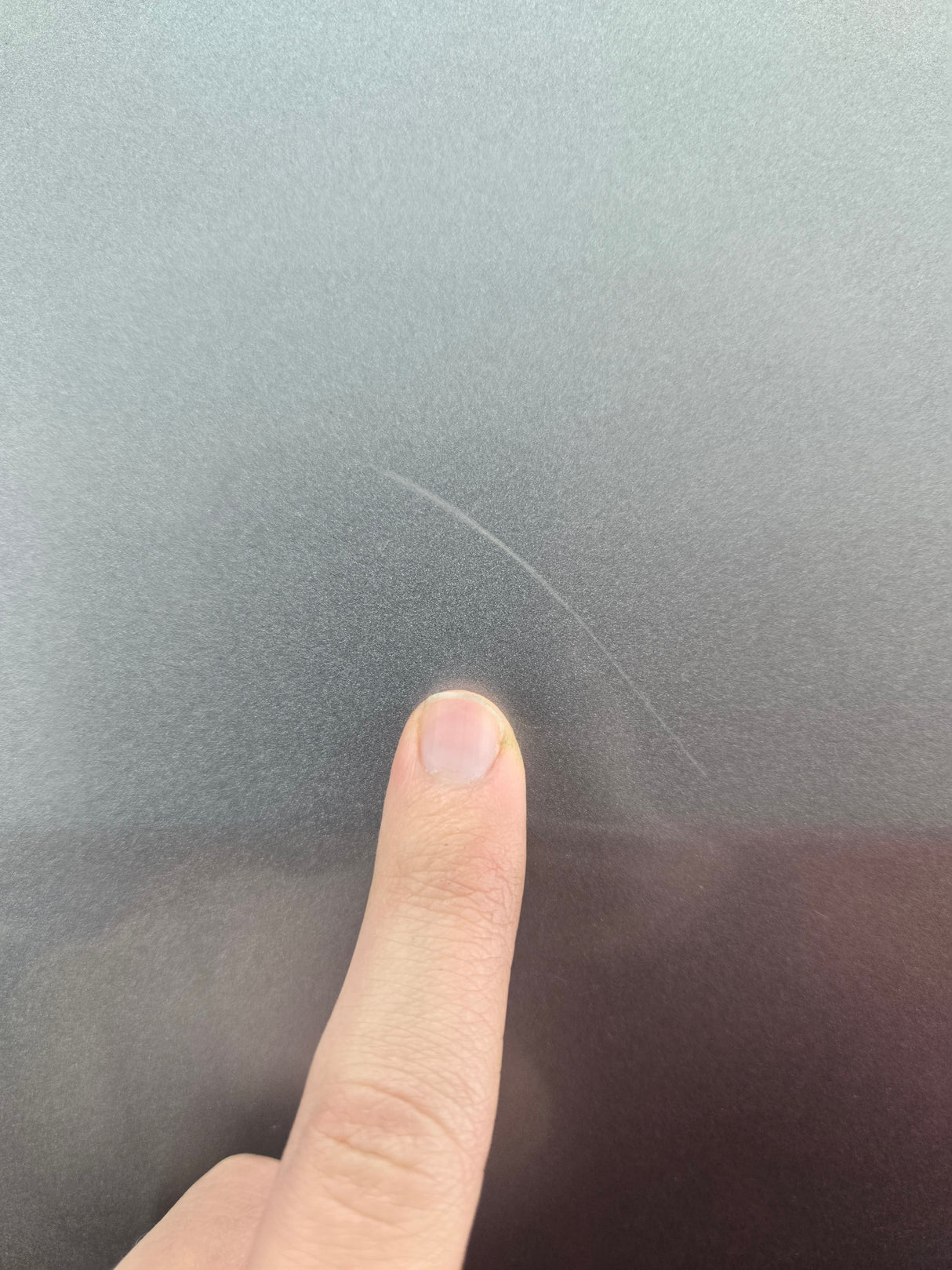 2015-2022 Ford F150 / Super Duty Passenger Rear Door RH F250 F350 F450 F550