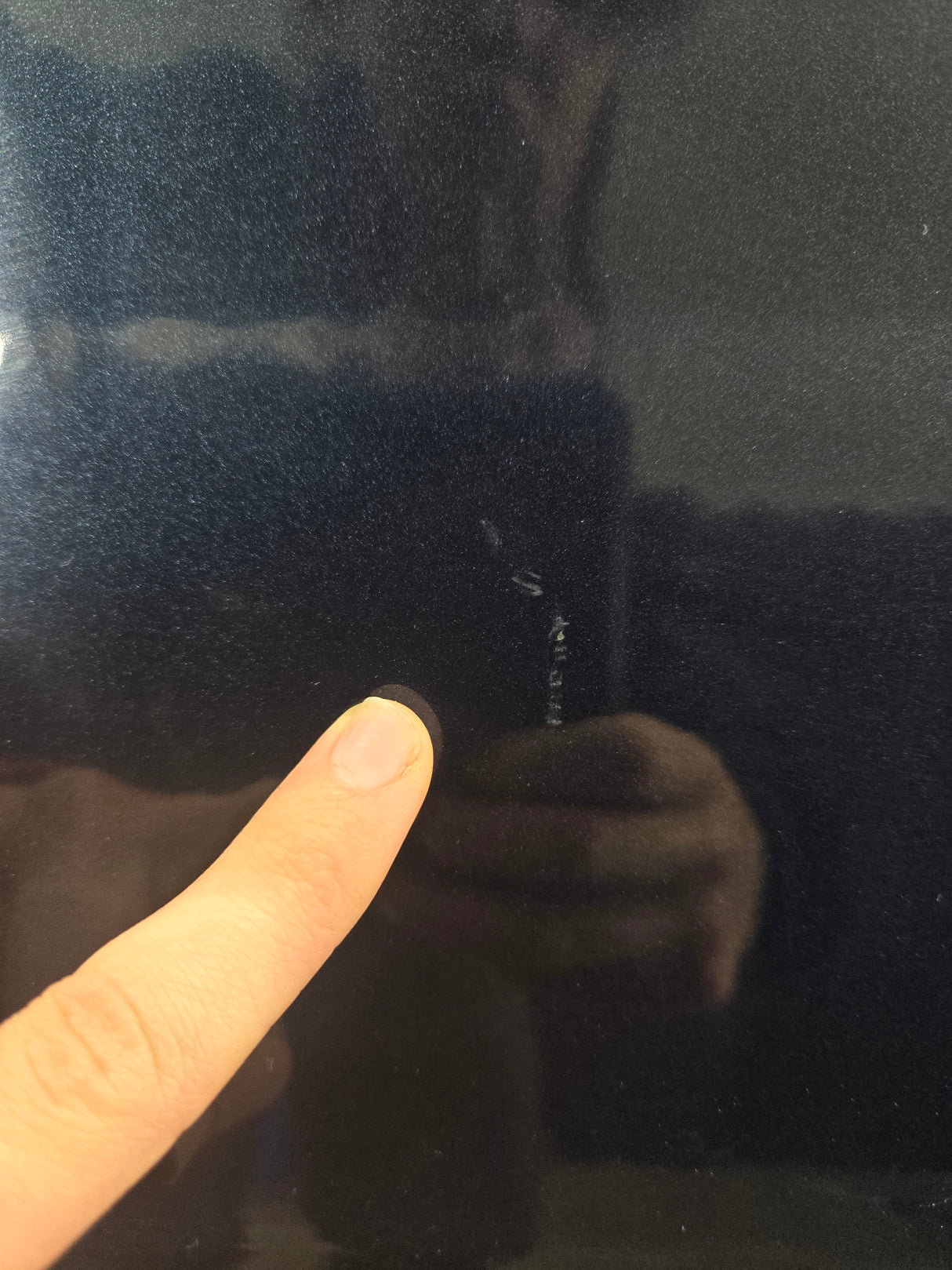 2015-2022 Ford F150 / Super Duty Passenger Rear Door RH F250 F350 F450 F550