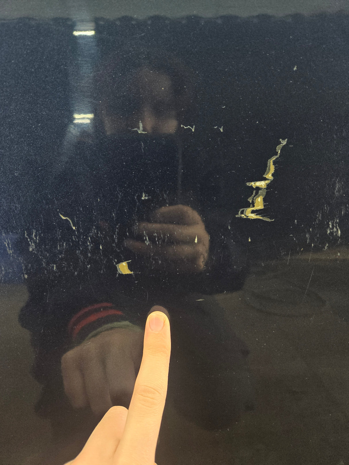 2015-2022 Ford F150 / Super Duty Passenger Rear Door RH F250 F350 F450 F550