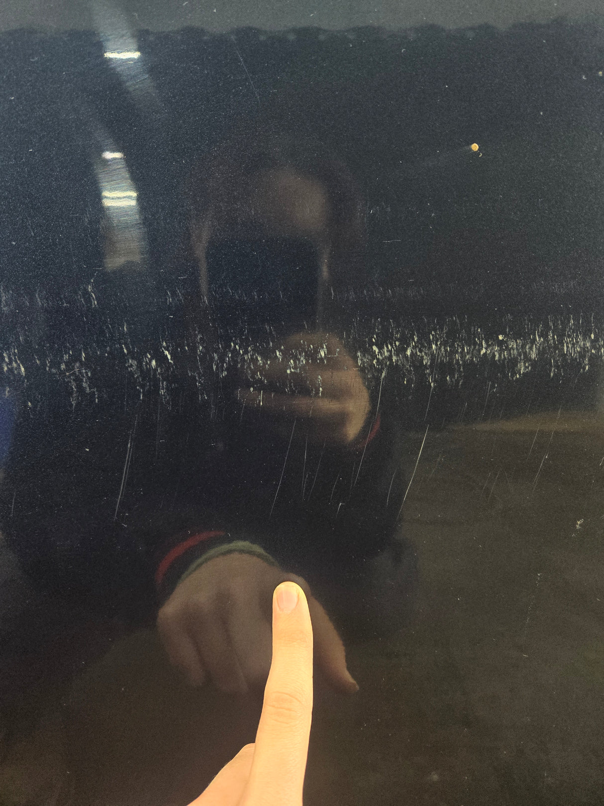 2015-2022 Ford F150 / Super Duty Passenger Rear Door RH F250 F350 F450 F550