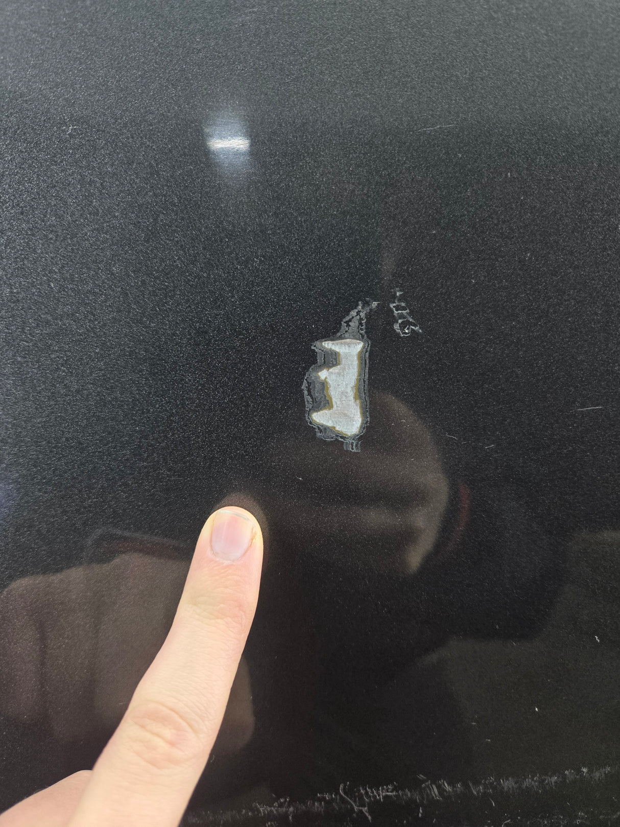 2015-2022 Ford F150 / Super Duty Passenger Rear Door RH F250 F350 F450 F550