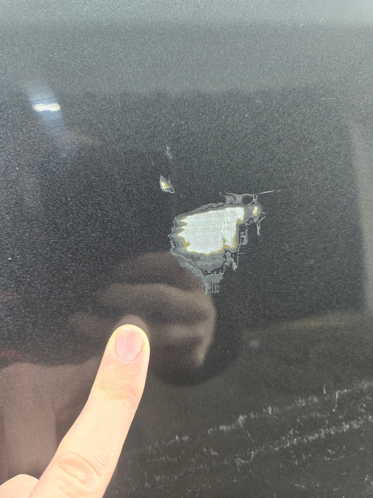 2015-2022 Ford F150 / Super Duty Passenger Rear Door RH F250 F350 F450 F550