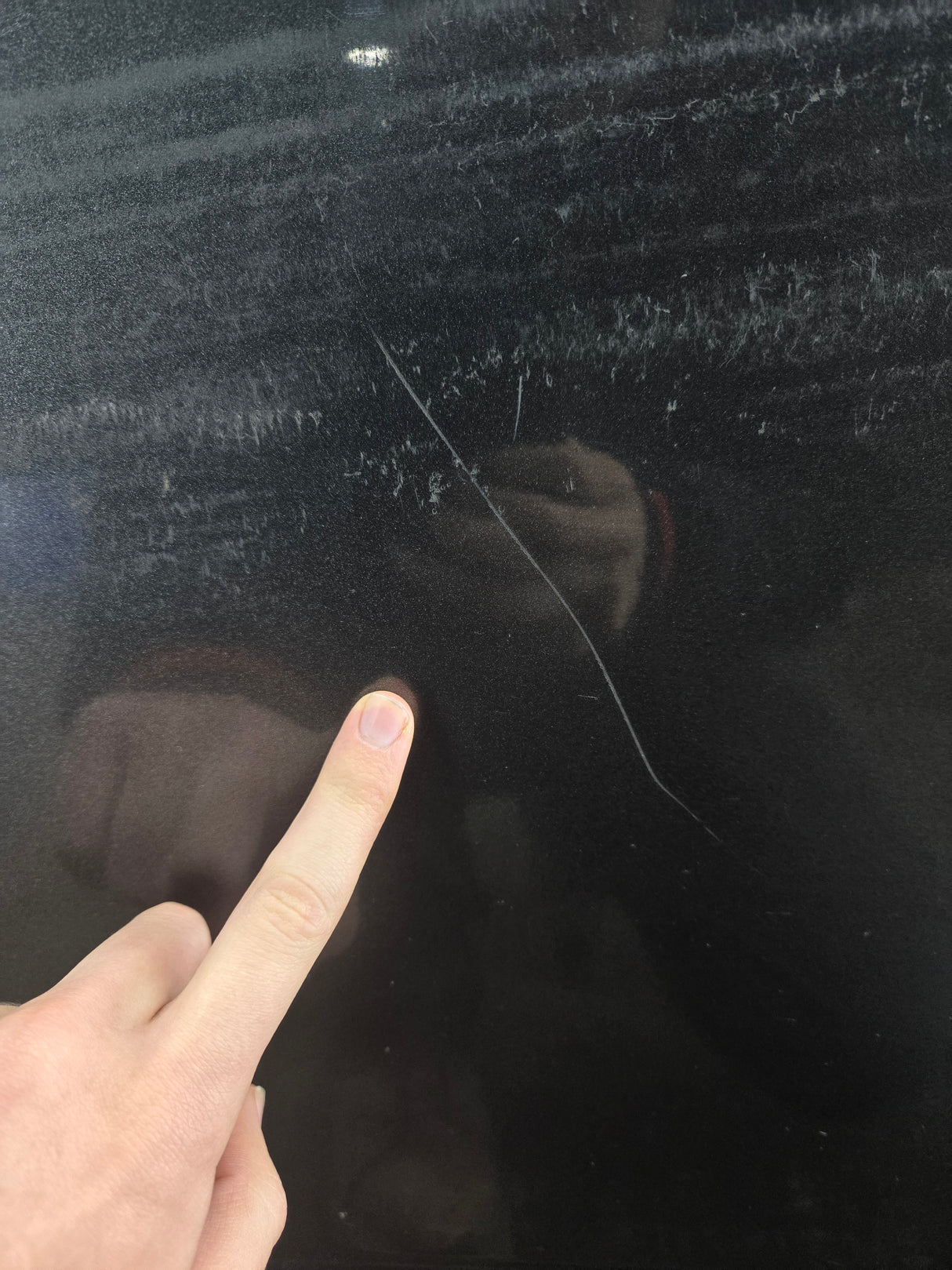 2015-2022 Ford F150 / Super Duty Passenger Rear Door RH F250 F350 F450 F550