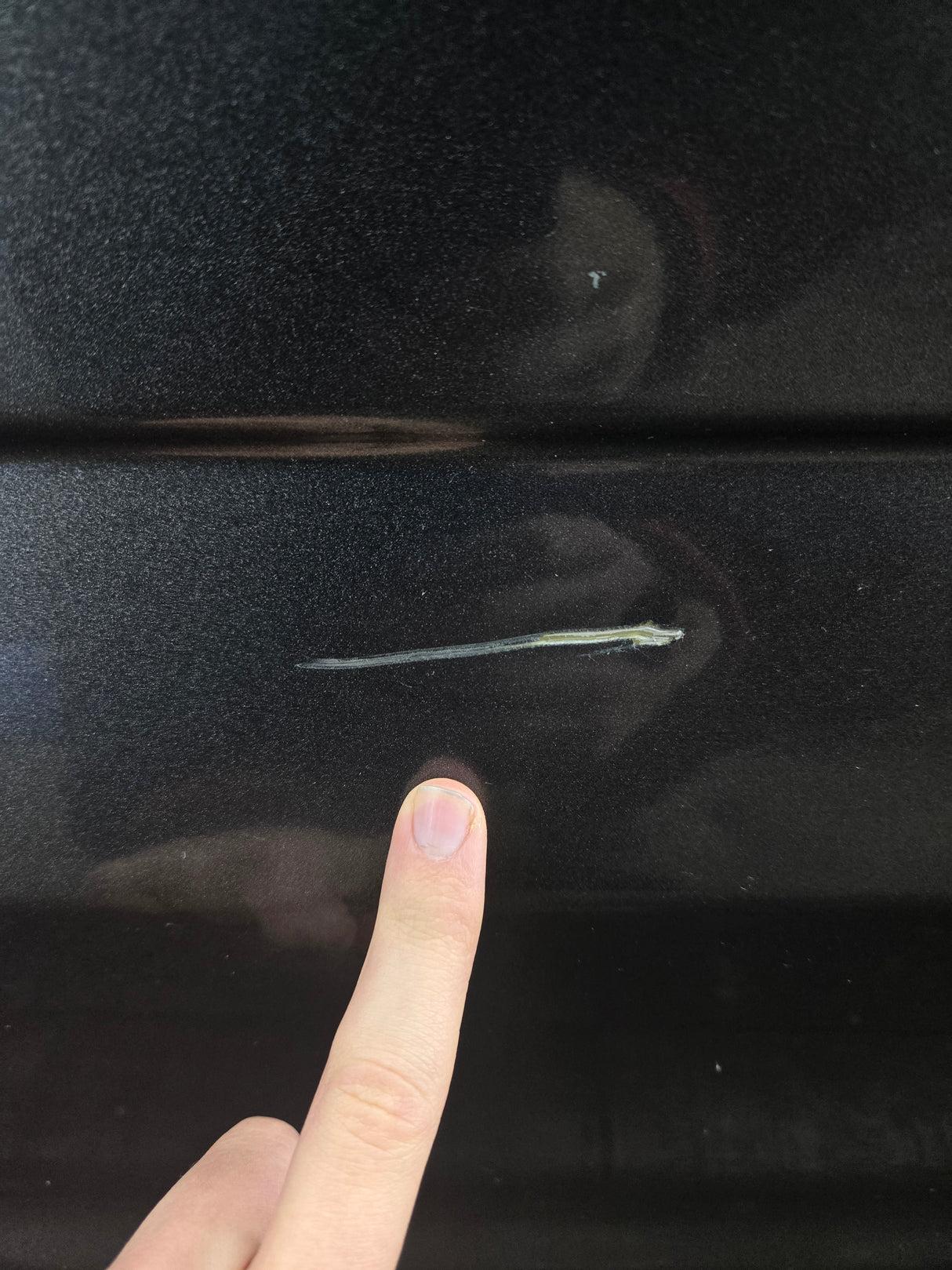 2015-2022 Ford F150 / Super Duty Passenger Rear Door RH F250 F350 F450 F550