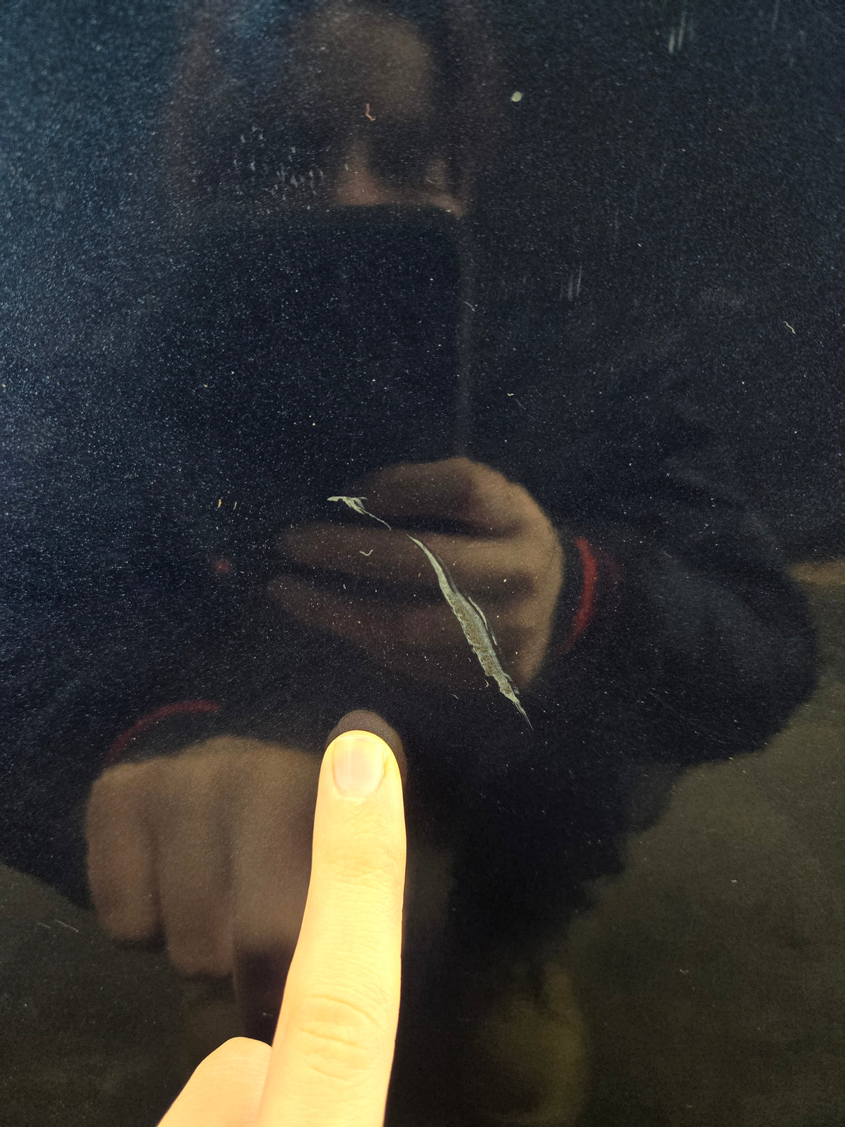 2015-2022 Ford F150 / Super Duty Driver Front Door LH F250 F350 F450 F550