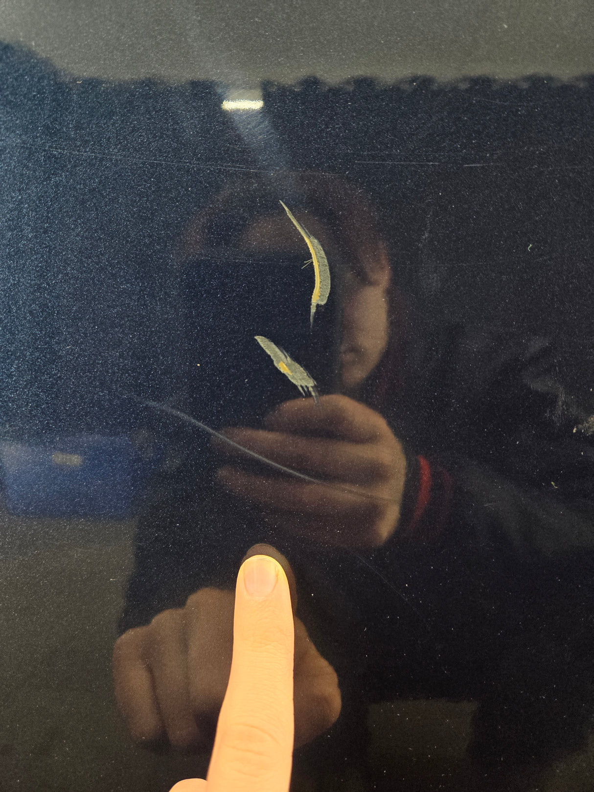 2015-2022 Ford F150 / Super Duty Driver Front Door LH F250 F350 F450 F550