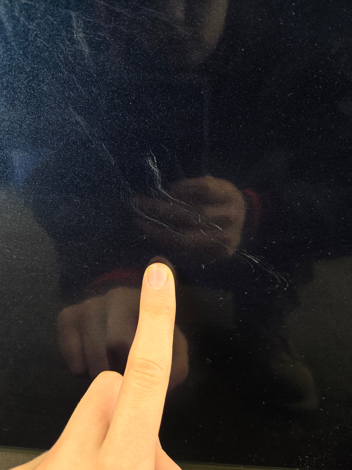 2015-2022 Ford F150 / Super Duty Driver Front Door LH F250 F350 F450 F550