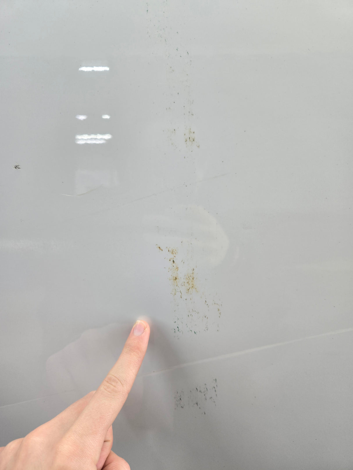 2015-2022 Ford F150 / Super Duty Rear Passenger Crew Cab Door RH F250 F350 F450 F550