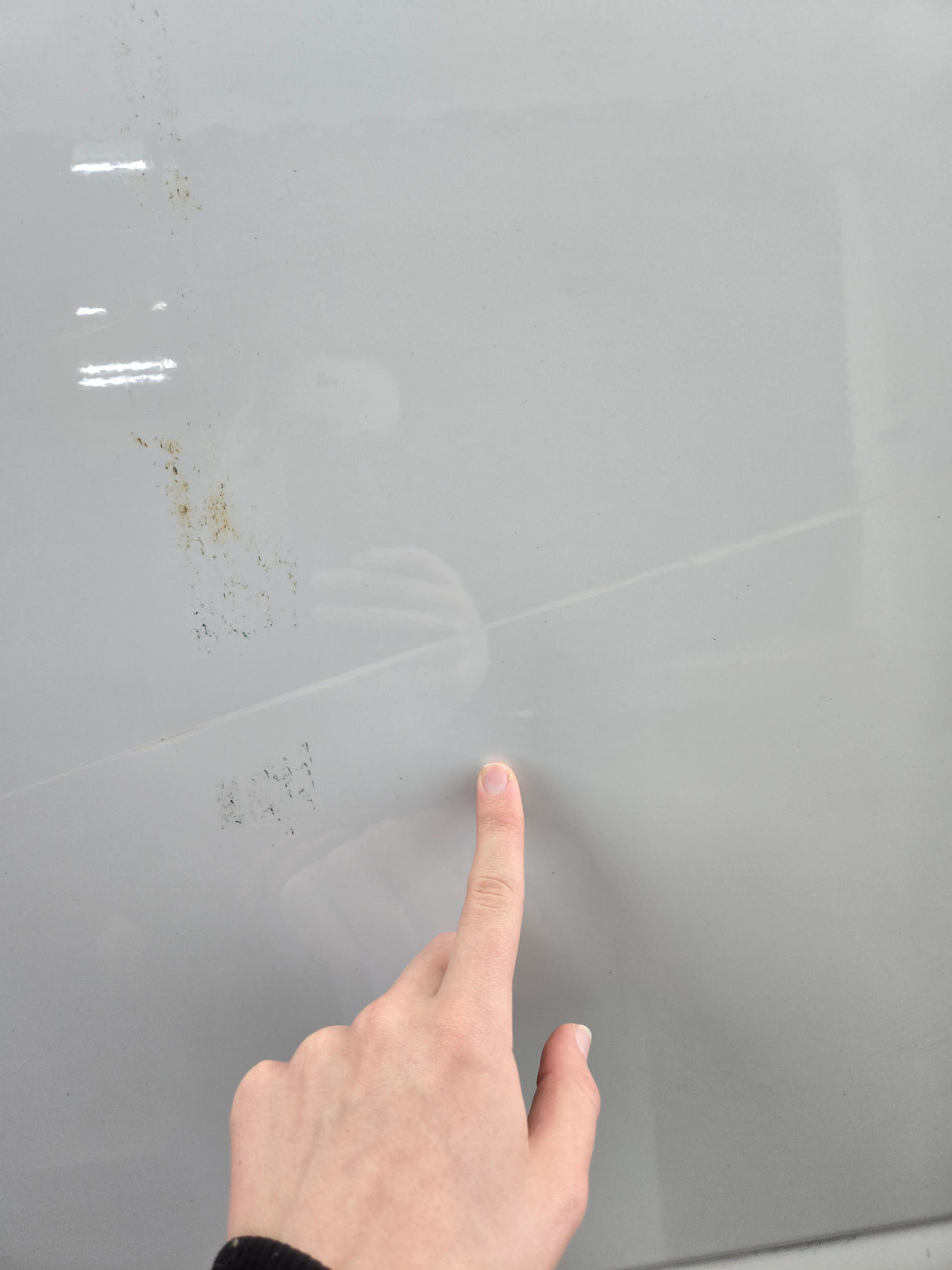 2015-2022 Ford F150 / Super Duty Rear Passenger Crew Cab Door RH F250 F350 F450 F550