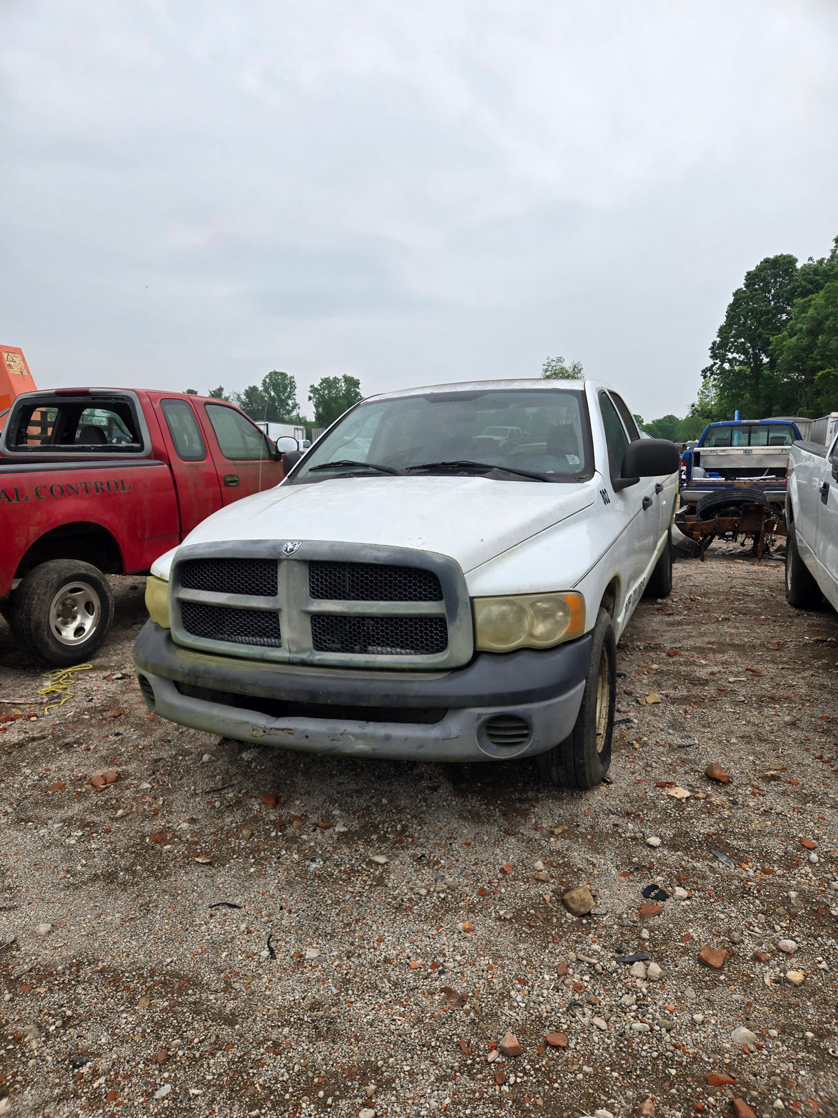 2004 Dodge Ram 1500 Crew Cab 8' Long Bed 2wd - FULL PART OUT