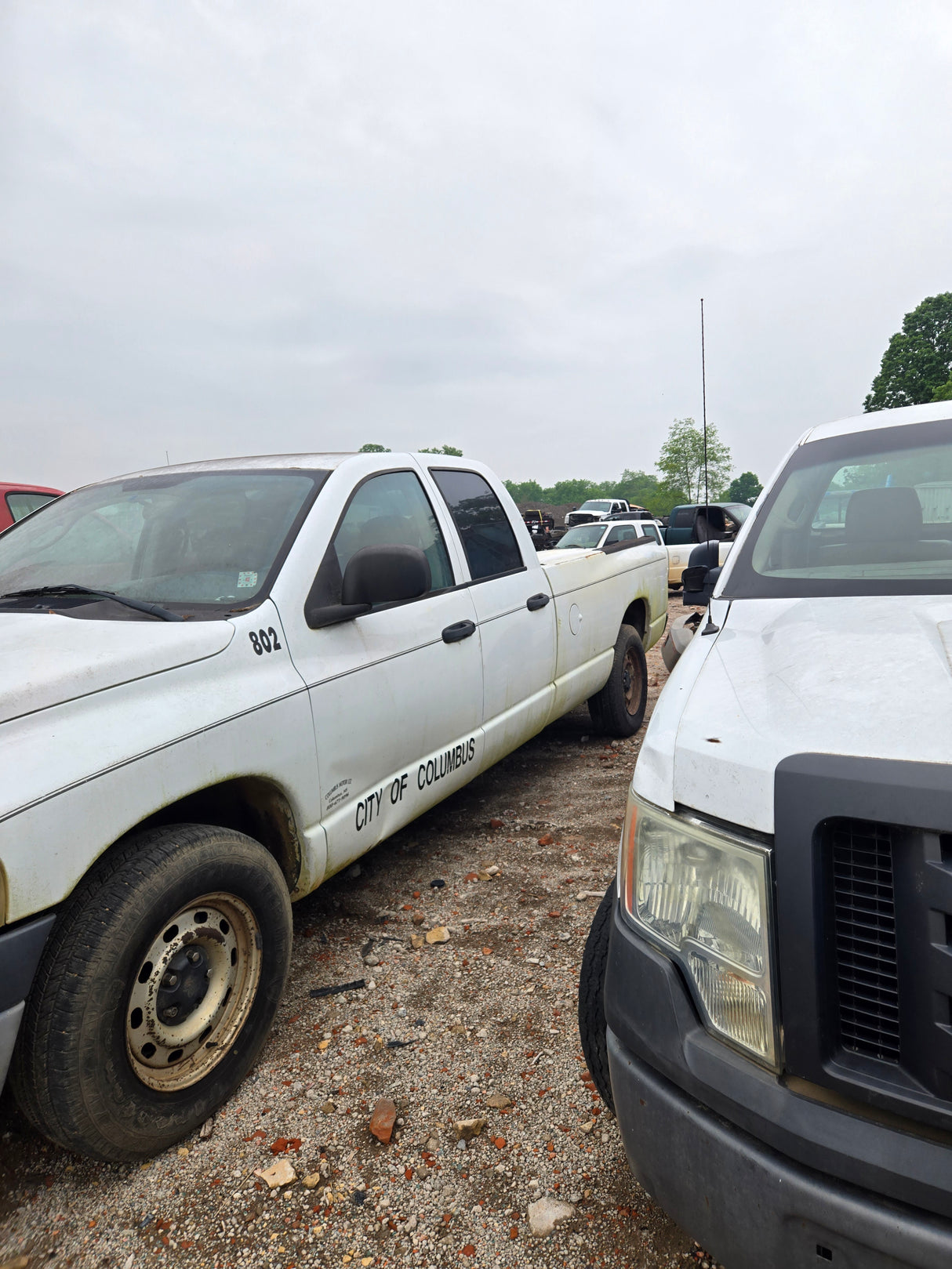 2004 Dodge Ram 1500 Crew Cab 8' Long Bed 2wd - FULL PART OUT