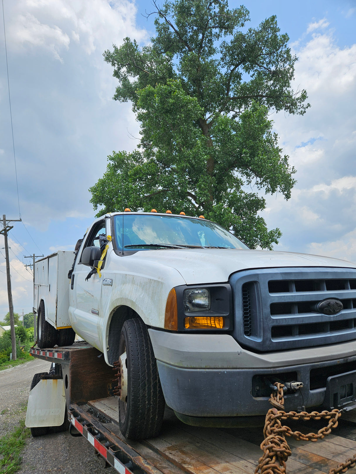 2006 Ford F-350 2wd Regular Cab, Cab & Chassis Dually Service Body - FULL PART OUT