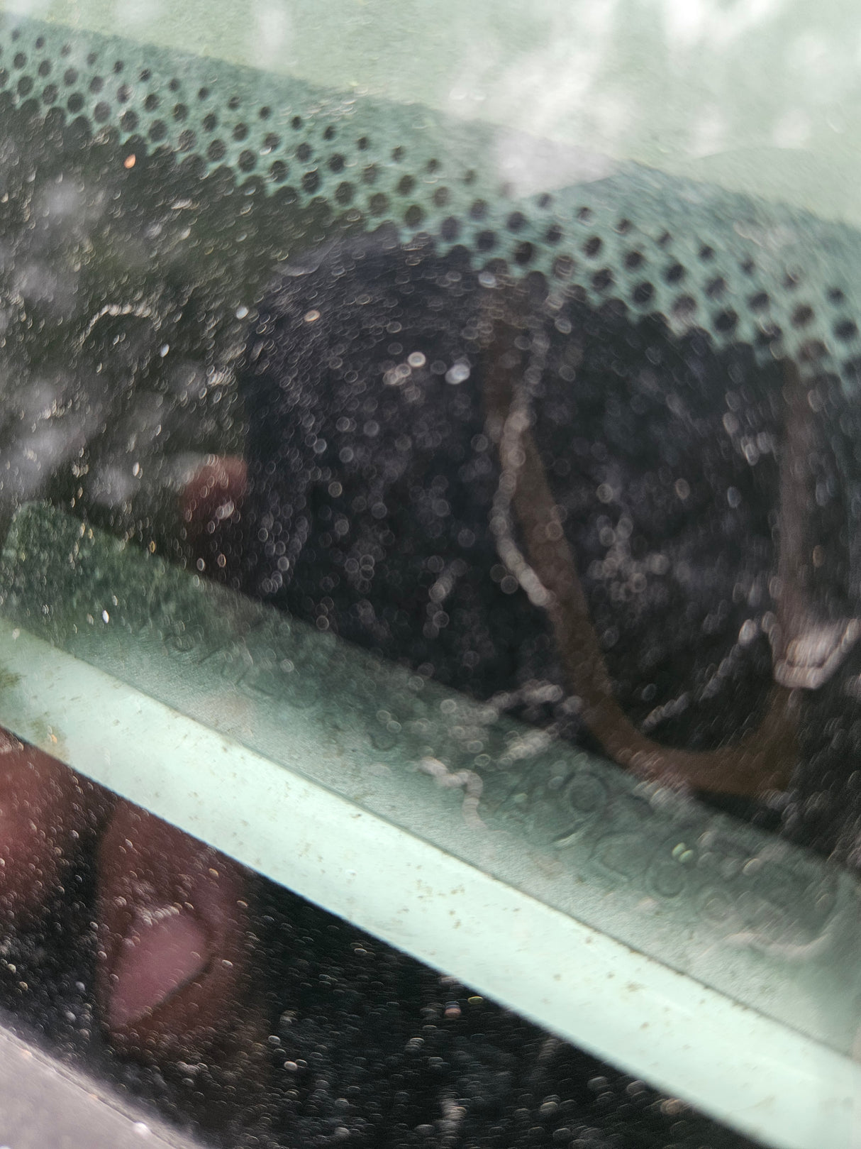 2010 Ford F-250 Extended Cab Short Bed Super Duty 4x4 - FULL PART OUT