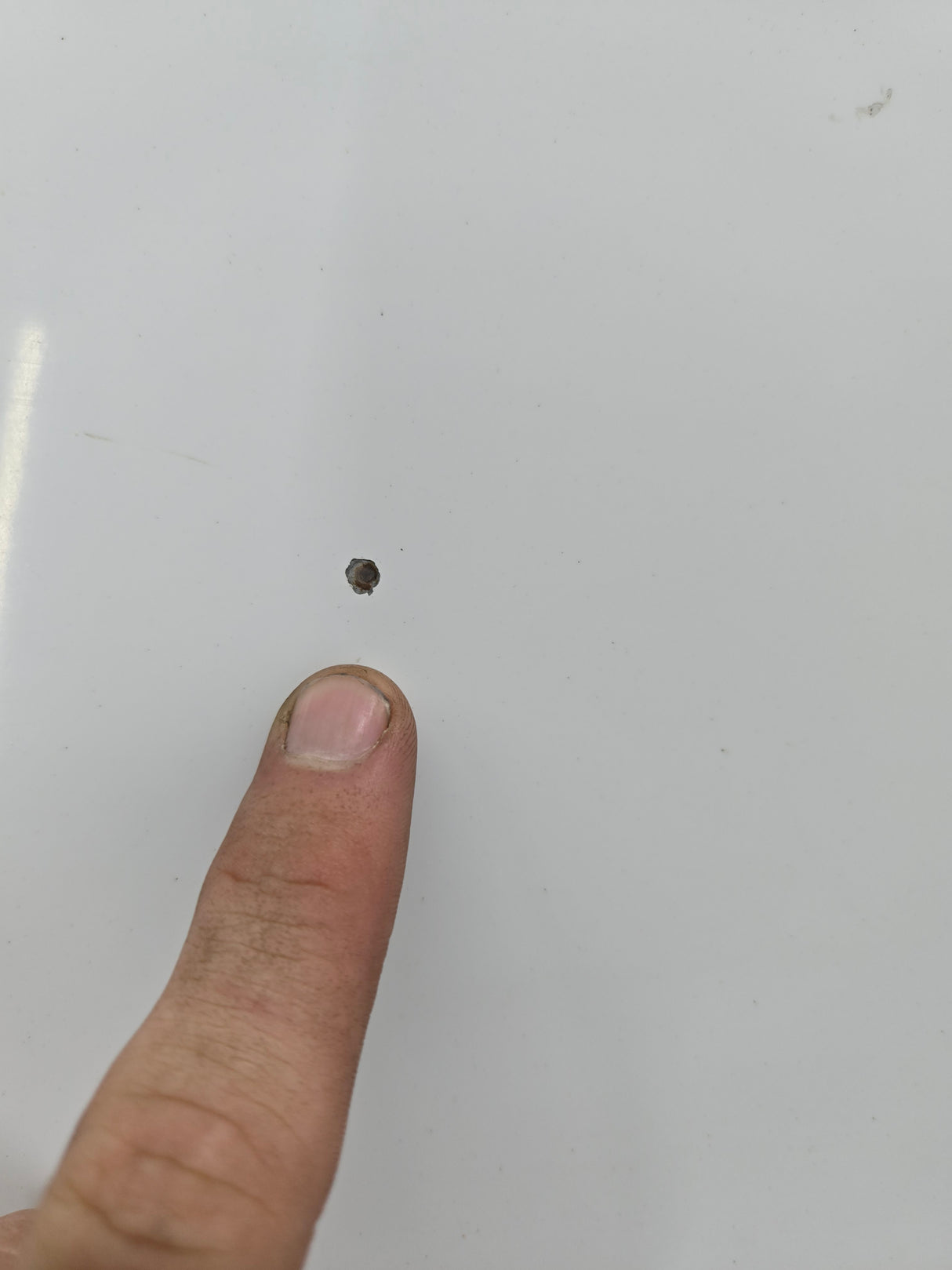 2007-2013 Chevrolet Silverado 1500 2500 Hood - White