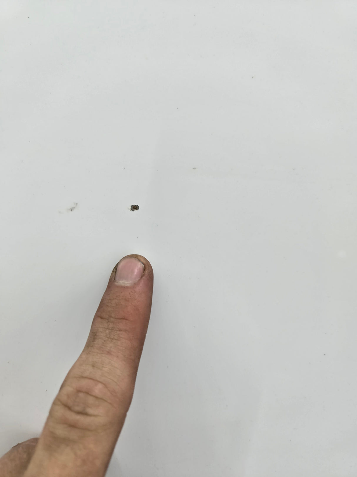 2007-2013 Chevrolet Silverado 1500 2500 Hood - White