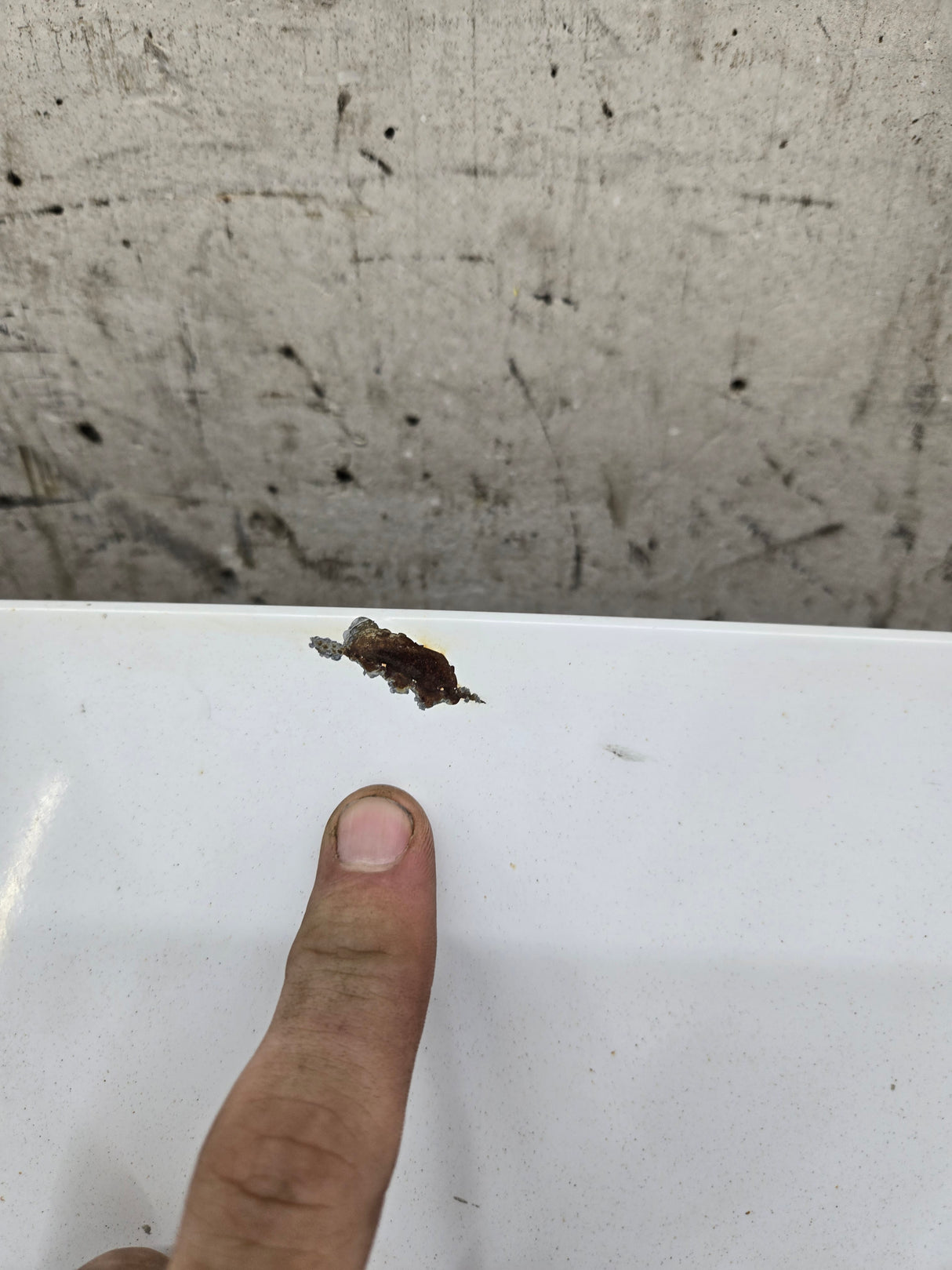 1999-2007 Ford Super Duty Hood F250 F350 F450 F550 - Oxford White