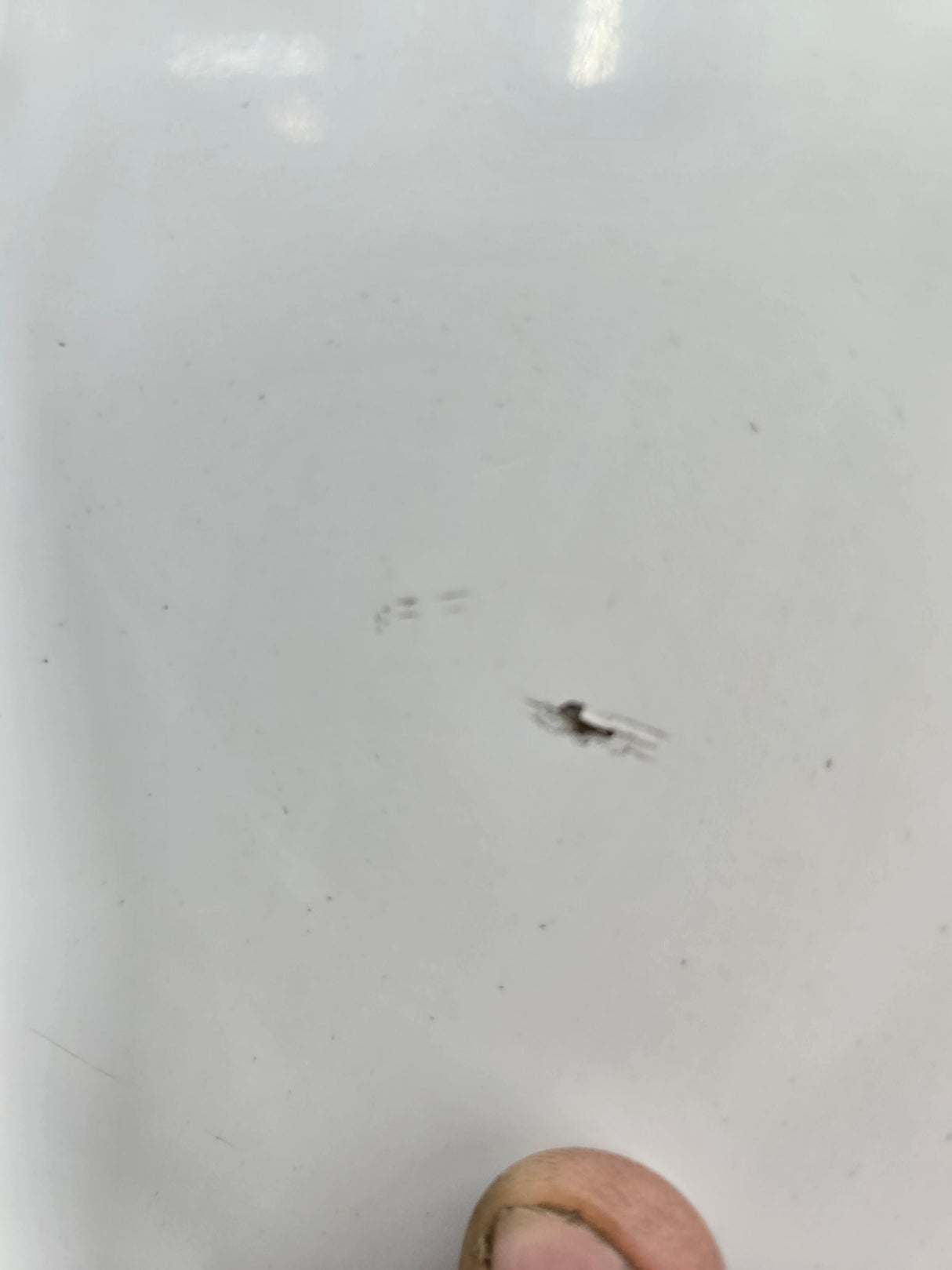 1999-2007 Ford Super Duty Hood F250 F350 F450 F550 - Oxford White