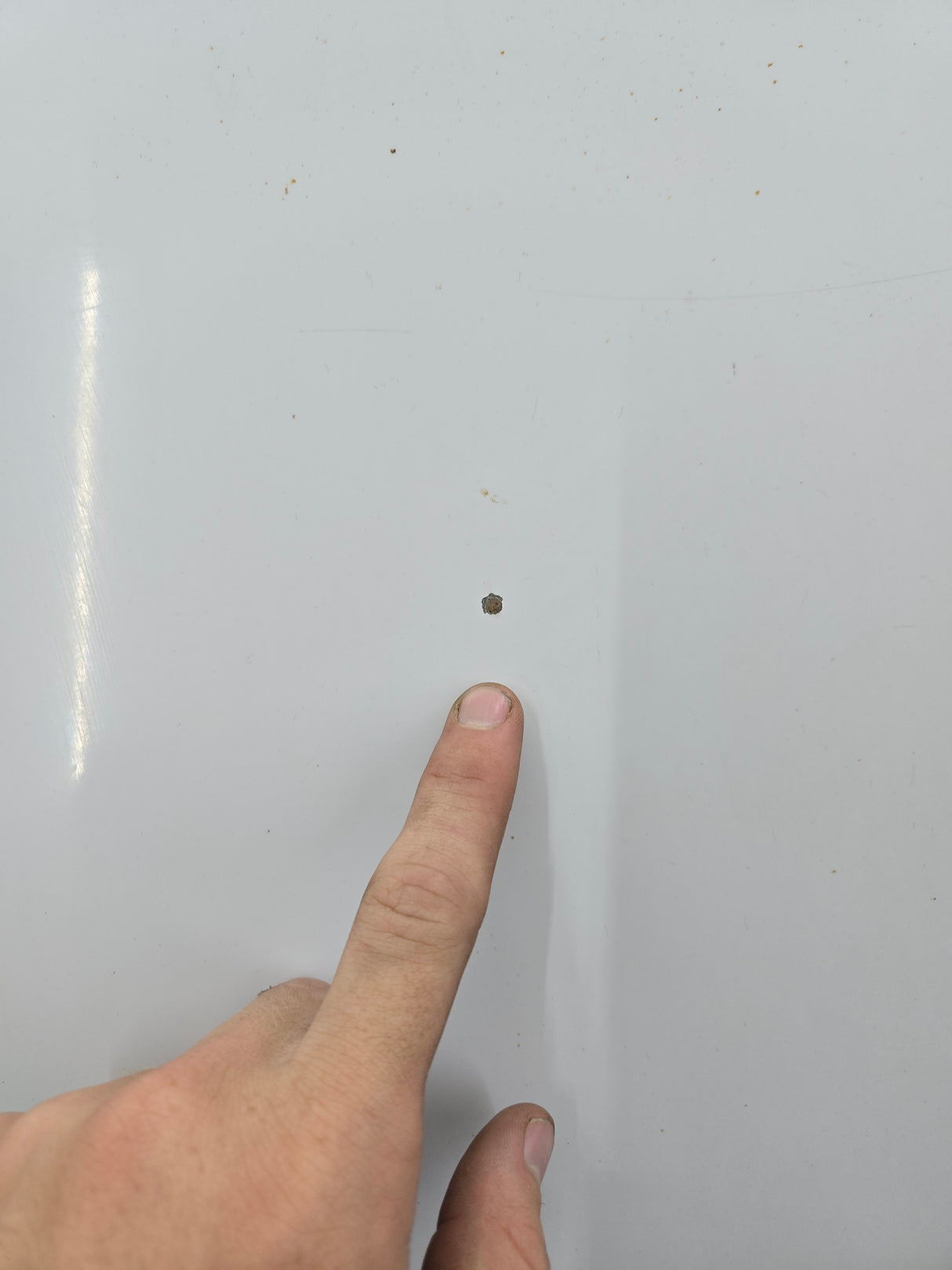 1999-2007 Ford Super Duty Hood F250 F350 F450 F550 - Oxford White