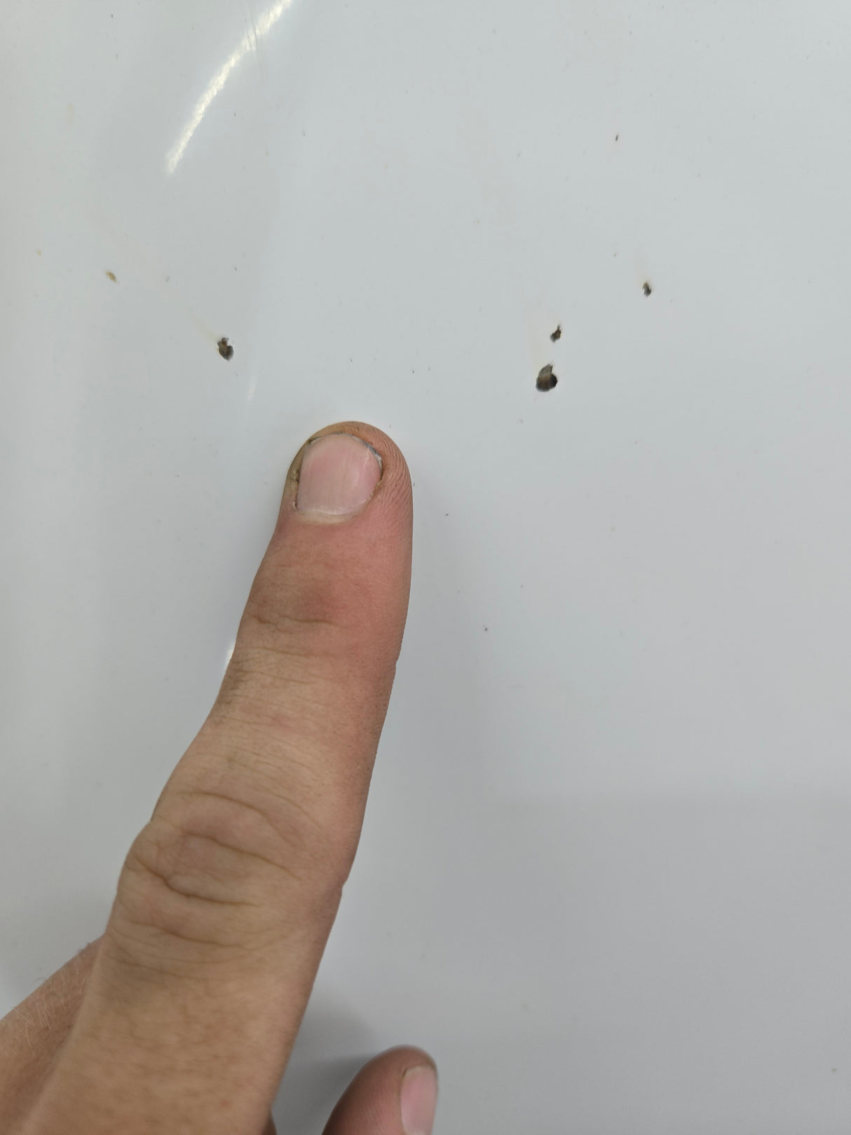 1999-2007 Ford Super Duty Hood F250 F350 F450 F550 - Oxford White