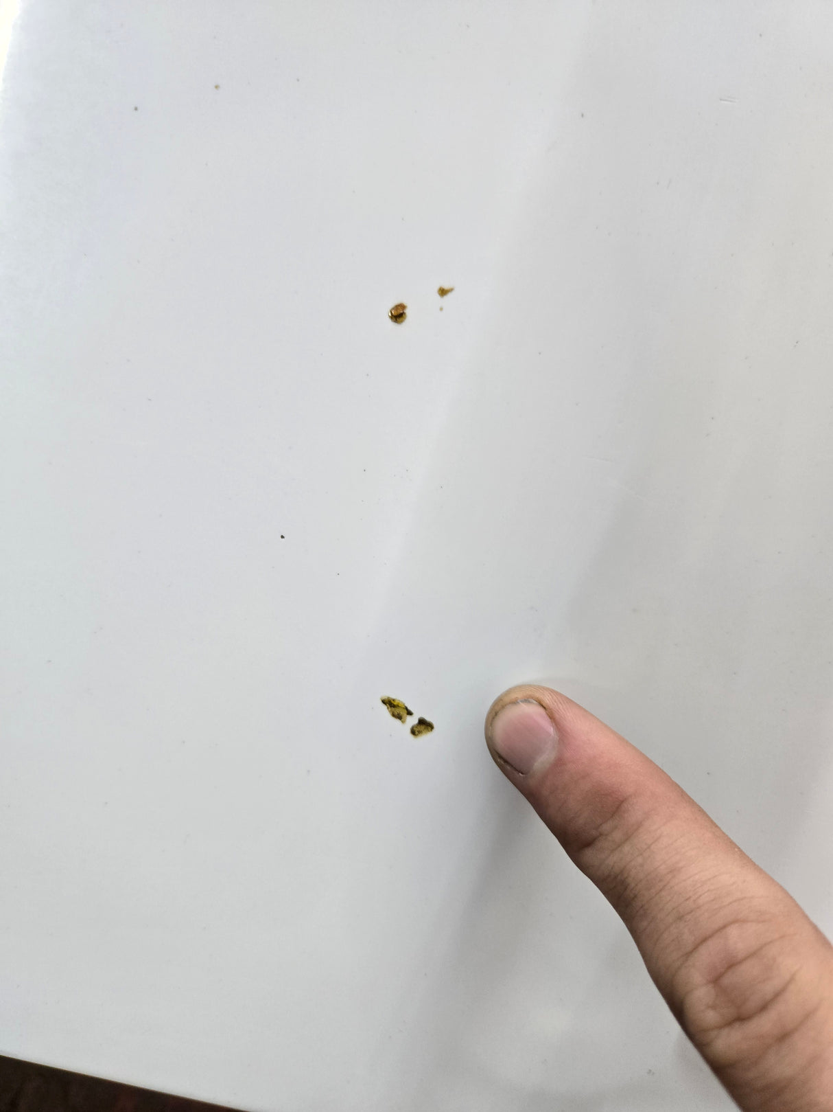 1999-2007 Ford Super Duty Hood F250 F350 F450 F550 - Oxford White