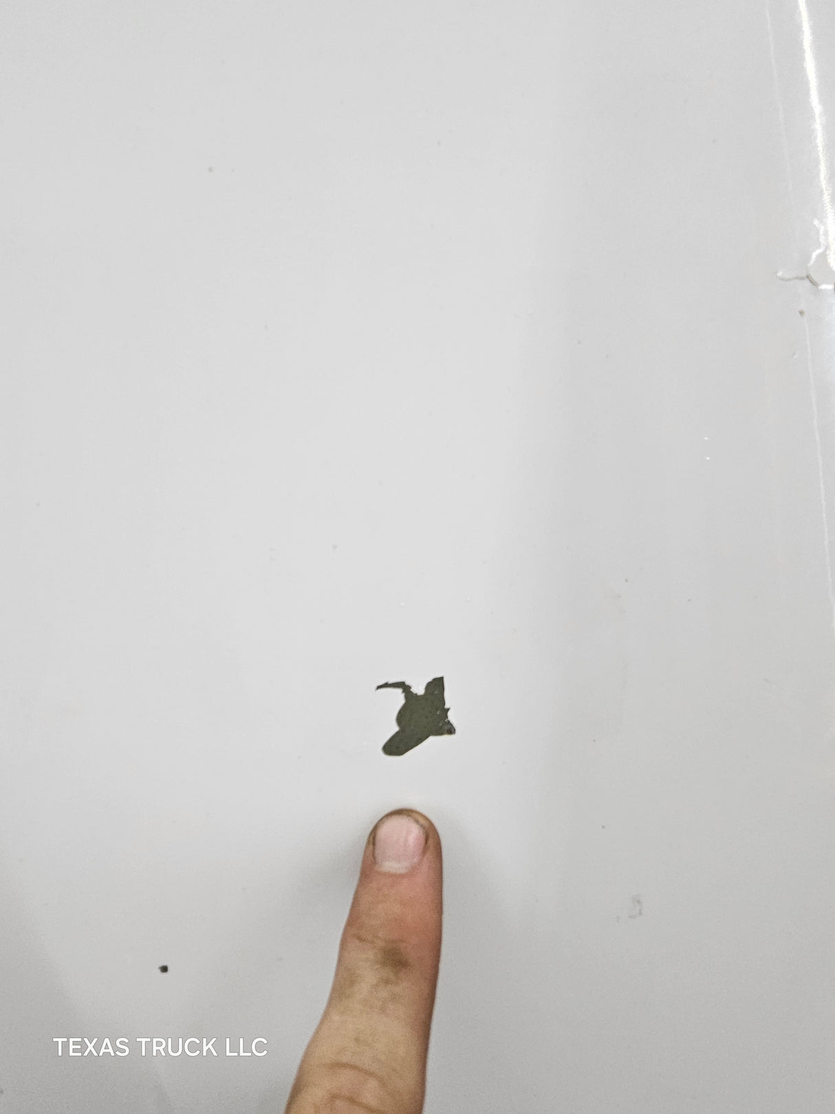 2003-2006 Chevrolet Silverado 1500 2500 'Cateye' Hood "Standard Line" - Summit White