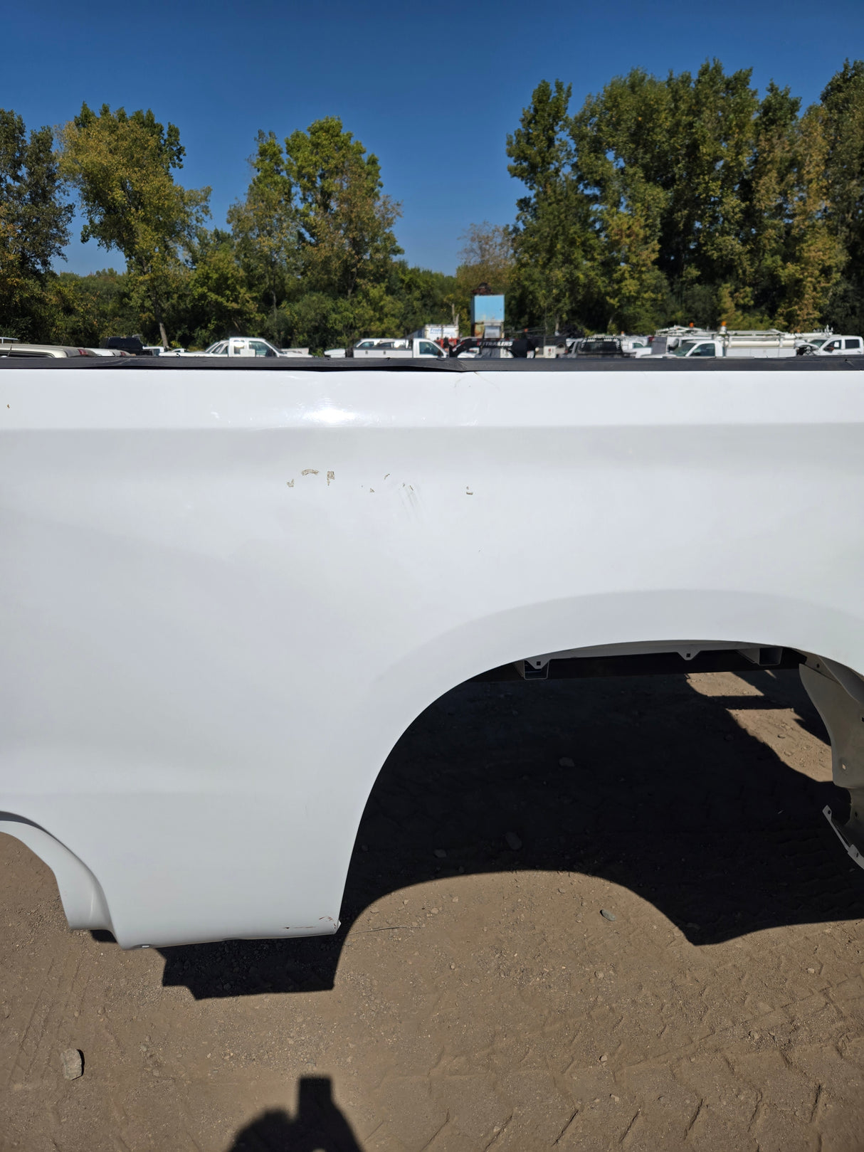 2019-2025 Chevrolet Silverado 1500 8' Long Truck Bed - White