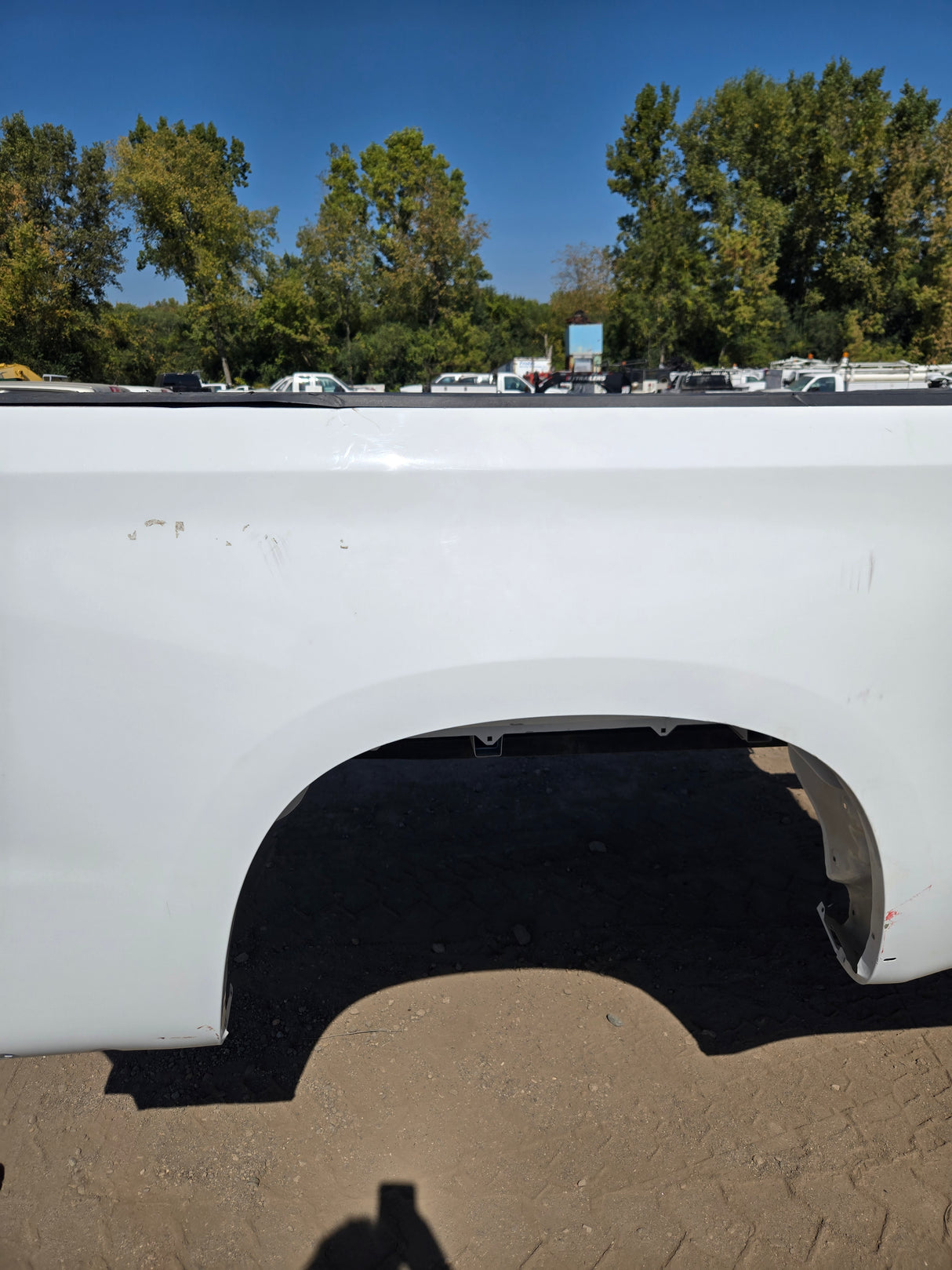 2019-2025 Chevrolet Silverado 1500 8' Long Truck Bed - White