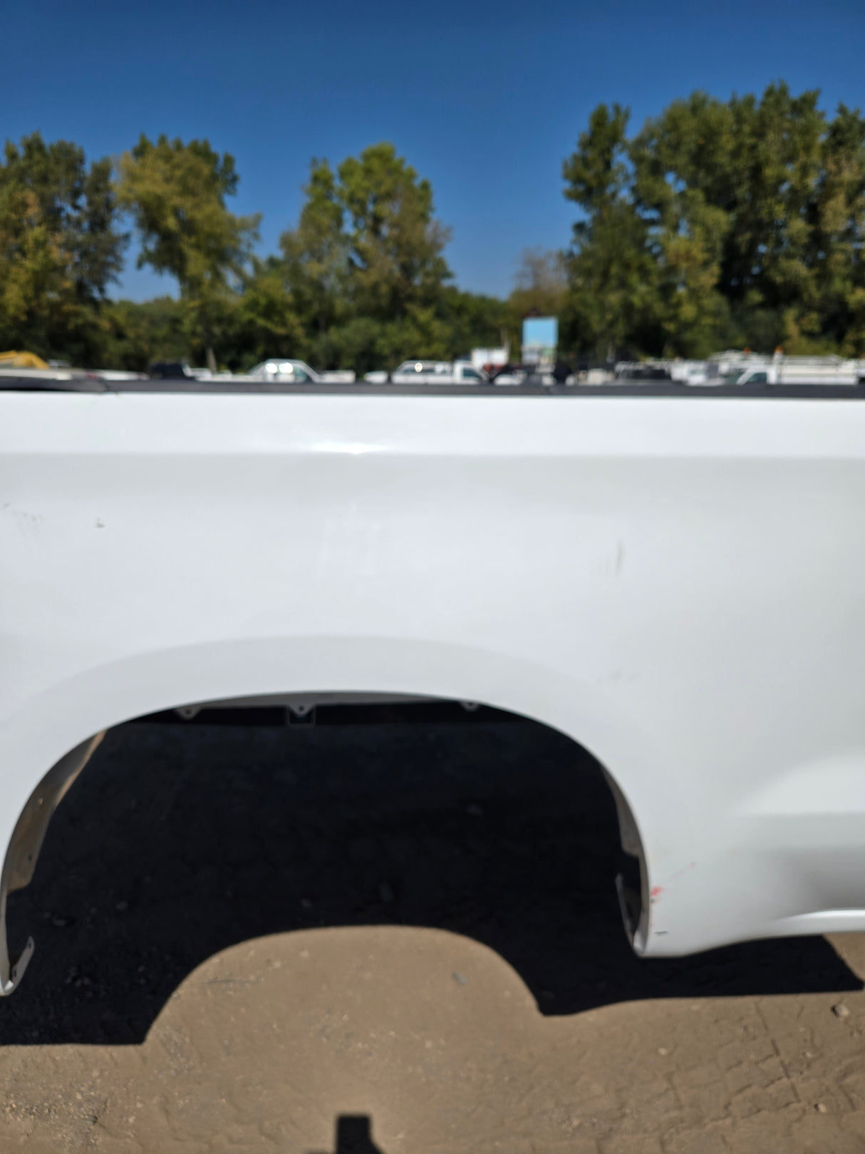 2019-2025 Chevrolet Silverado 1500 8' Long Truck Bed - White