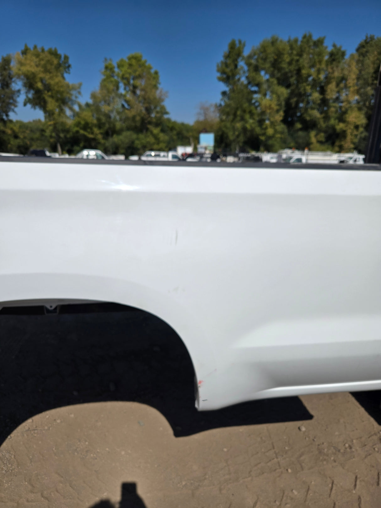 2019-2025 Chevrolet Silverado 1500 8' Long Truck Bed - White