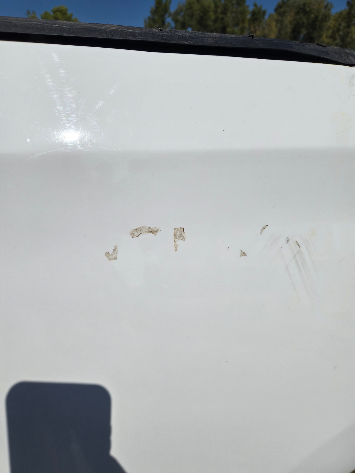 2019-2025 Chevrolet Silverado 1500 8' Long Truck Bed - White