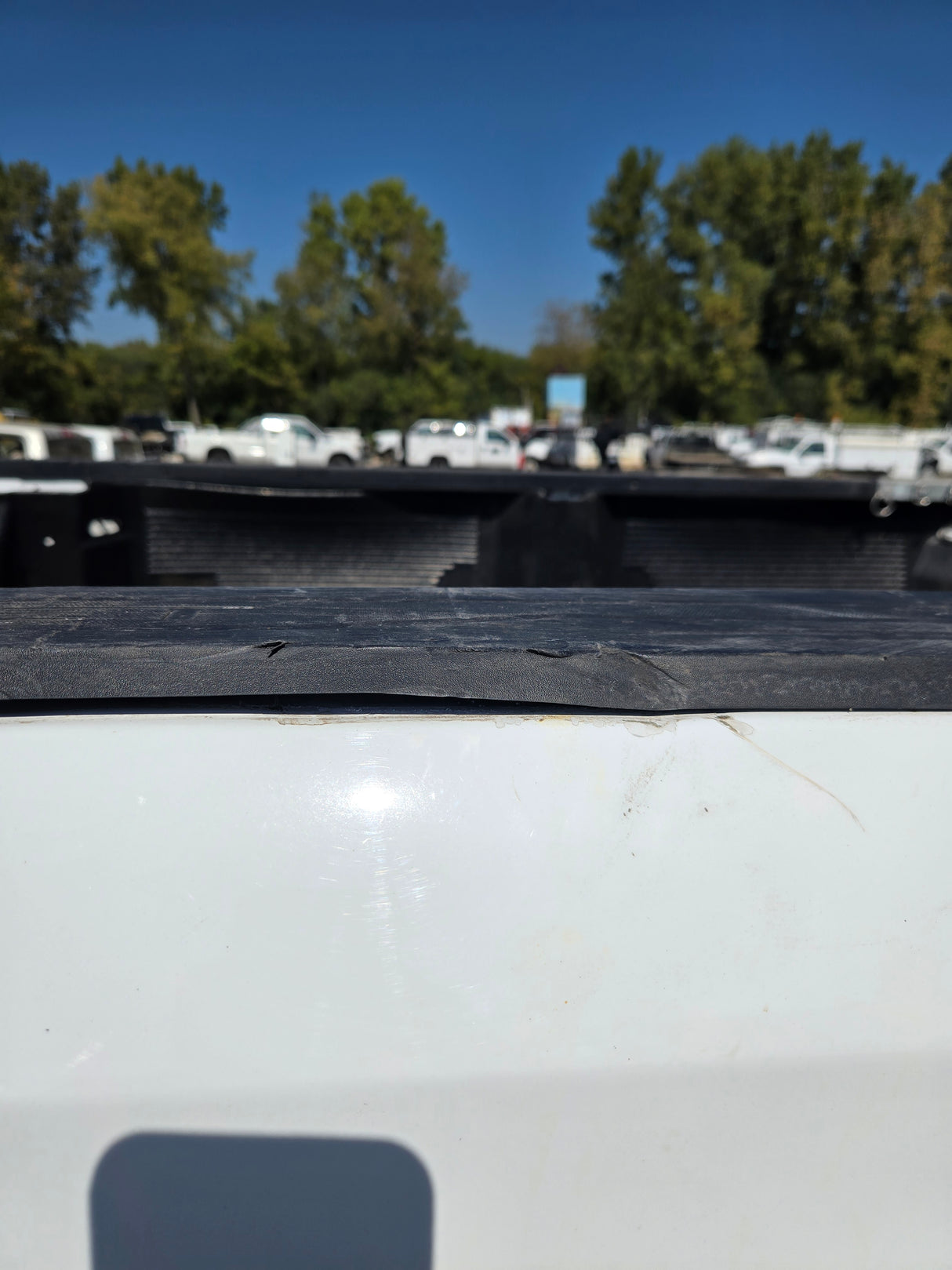 2019-2025 Chevrolet Silverado 1500 8' Long Truck Bed - White