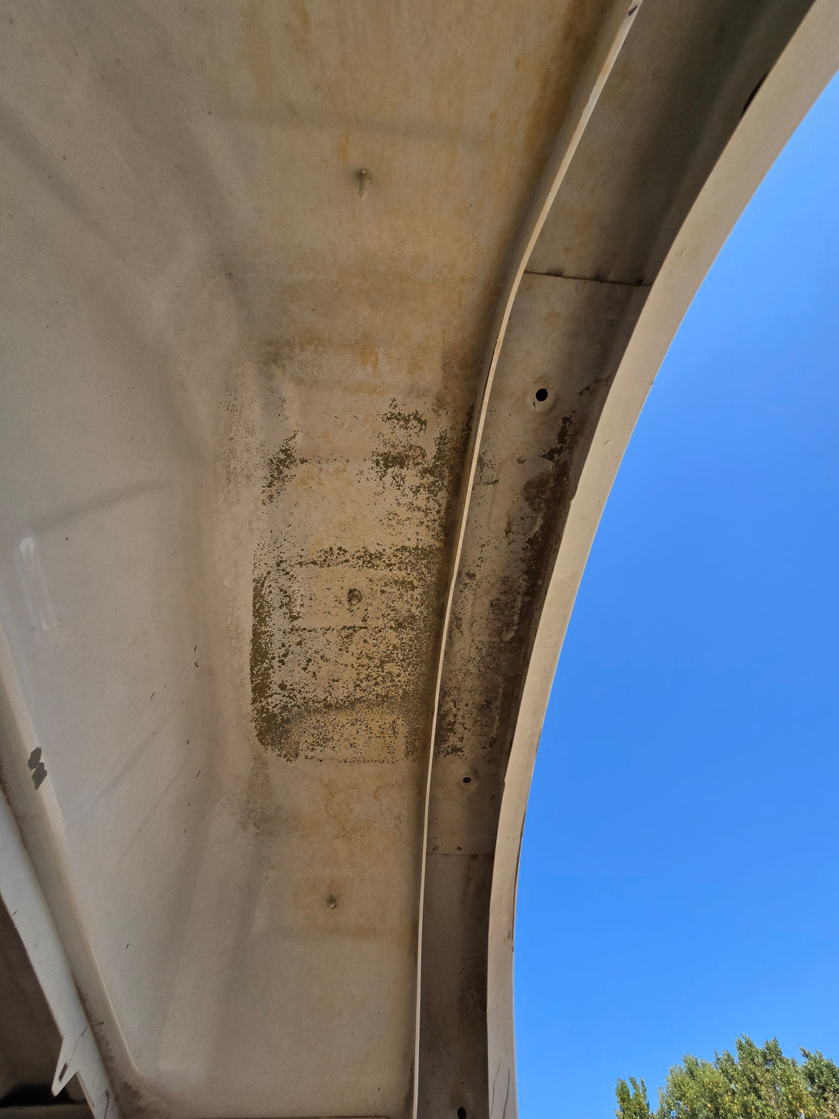 2019-2025 Chevrolet Silverado 1500 8' Long Truck Bed - White