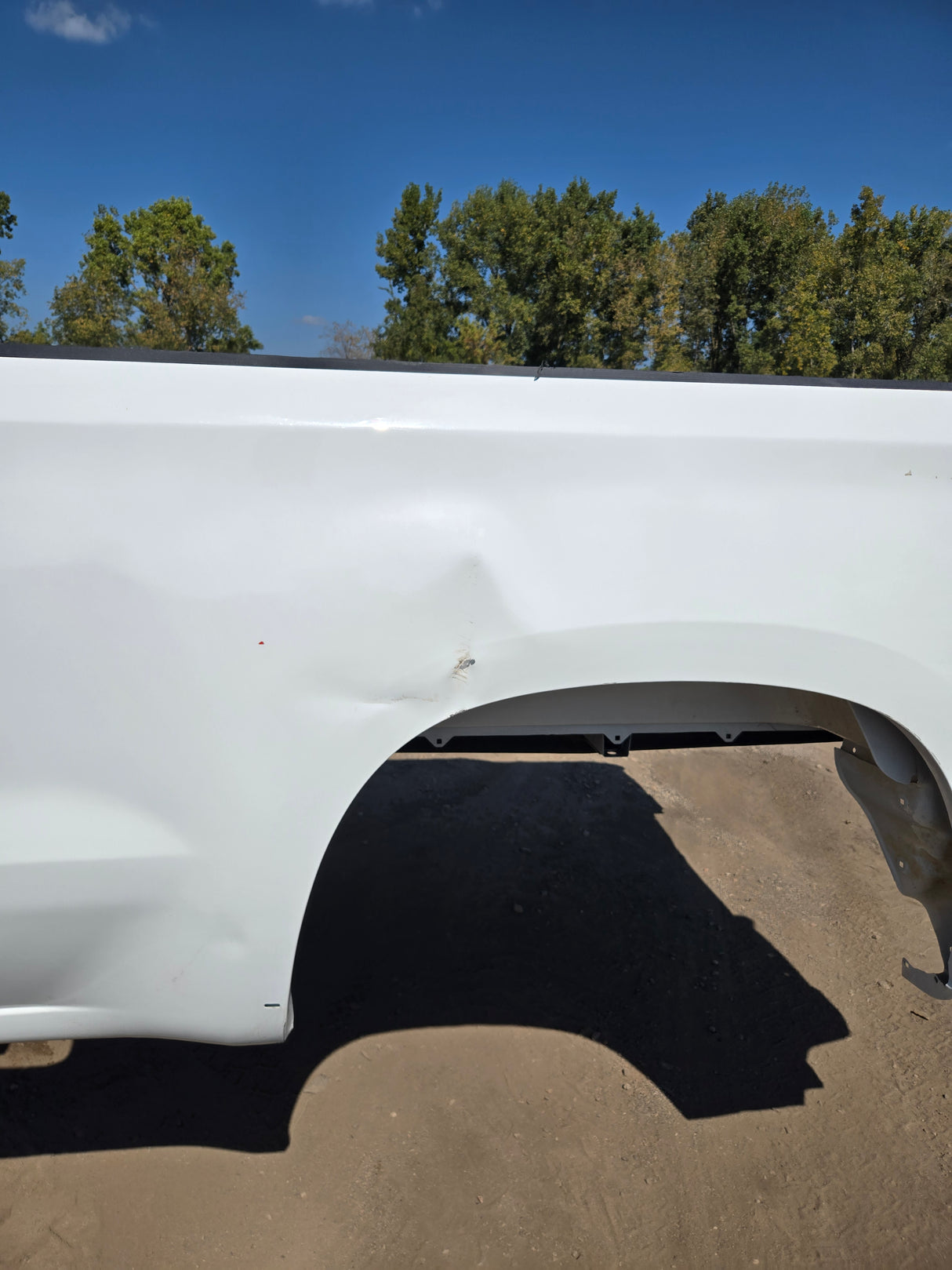 2019-2025 Chevrolet Silverado 1500 8' Long Truck Bed - White