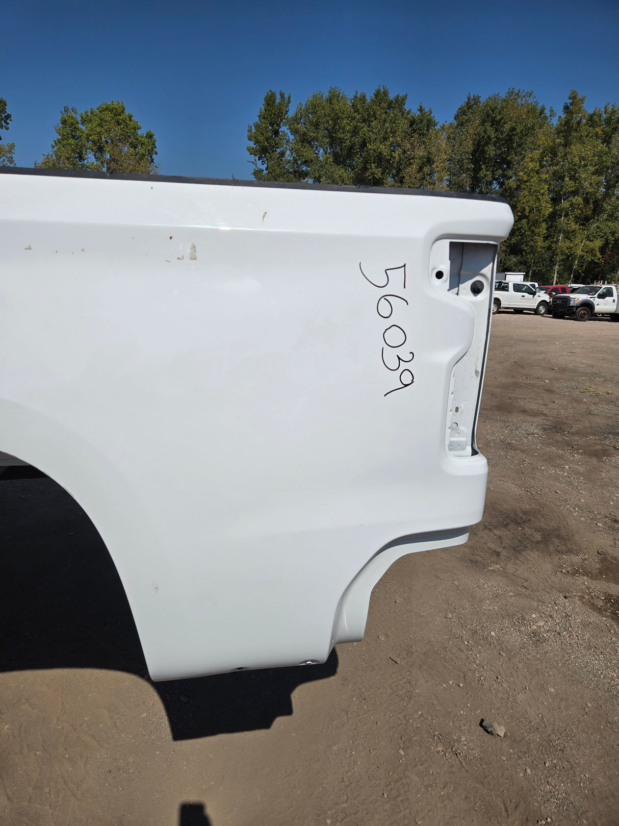 2019-2025 Chevrolet Silverado 1500 8' Long Truck Bed - White