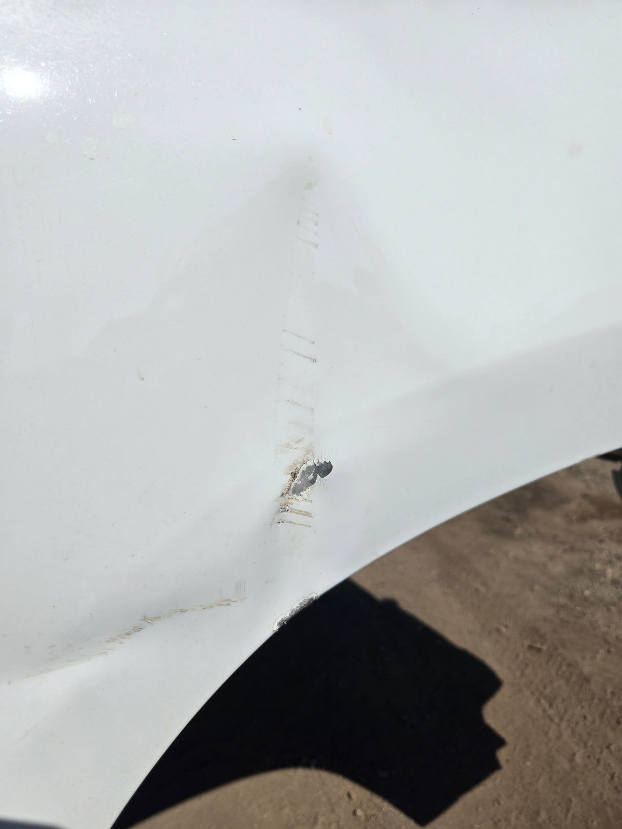 2019-2025 Chevrolet Silverado 1500 8' Long Truck Bed - White