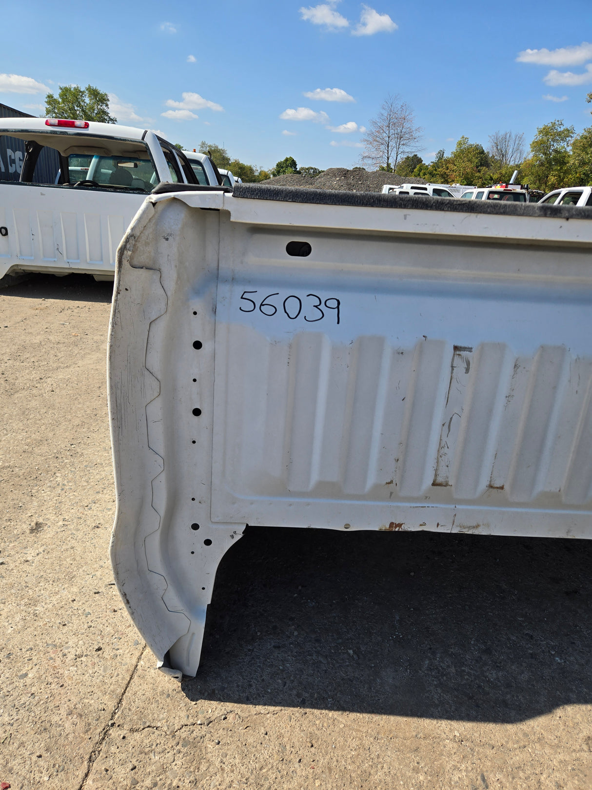 2019-2025 Chevrolet Silverado 1500 8' Long Truck Bed - White