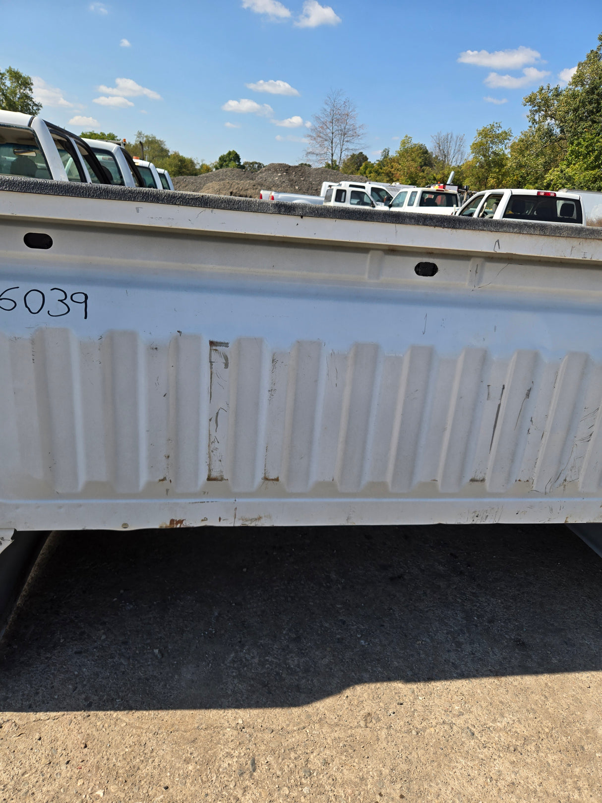 2019-2025 Chevrolet Silverado 1500 8' Long Truck Bed - White