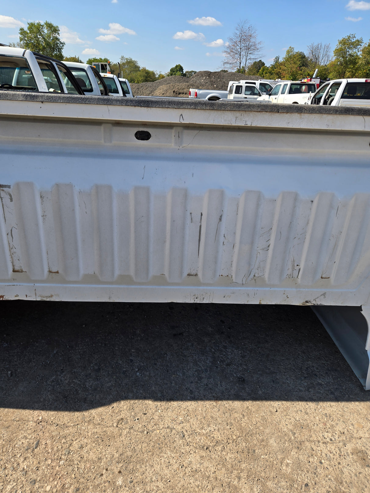 2019-2025 Chevrolet Silverado 1500 8' Long Truck Bed - White